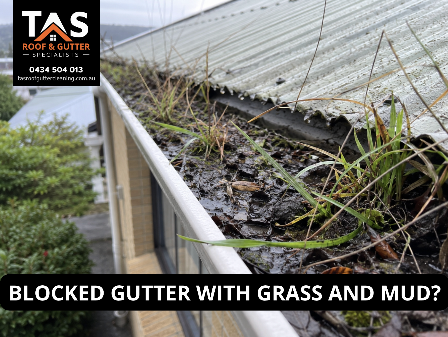 Blocked gutter with grass, mud and roof debris on a Burnie home needing professional gutter cleaning