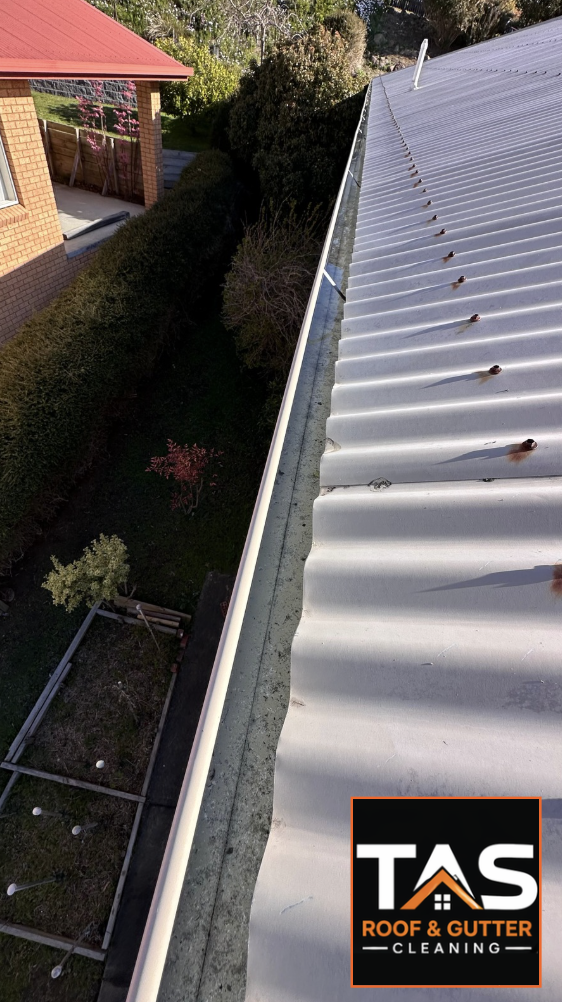 Cleared garden-side gutter along a metal roof following gutter cleaning at a residential property in West Moonah, Hobart.