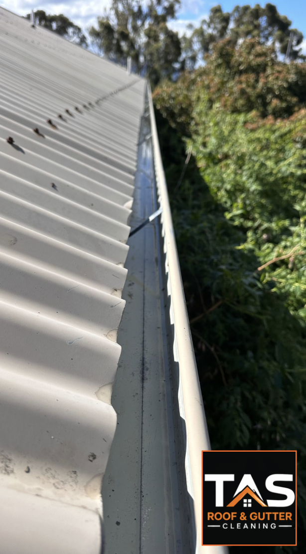 Close-up of a cleared gutter beside a corrugated metal roof after gutter cleaning in West Moonah, Hobart