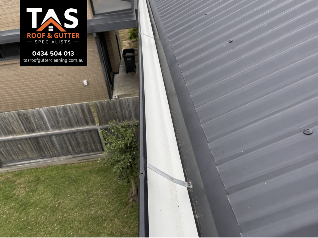 Clean gutter and metal roof after professional gutter cleaning in Devonport