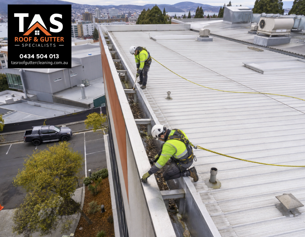 Professional team cleaning box gutters on a large commercial roof in Hobart using roof safety equipment.