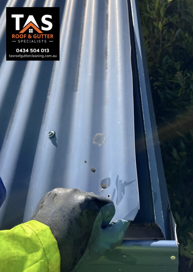 Close-up of a metal roof panel with a gloved hand holding the edge, showing a screw and some small holes, with a logo for TAS Roof & Gutter Specialists in the top left corner.
