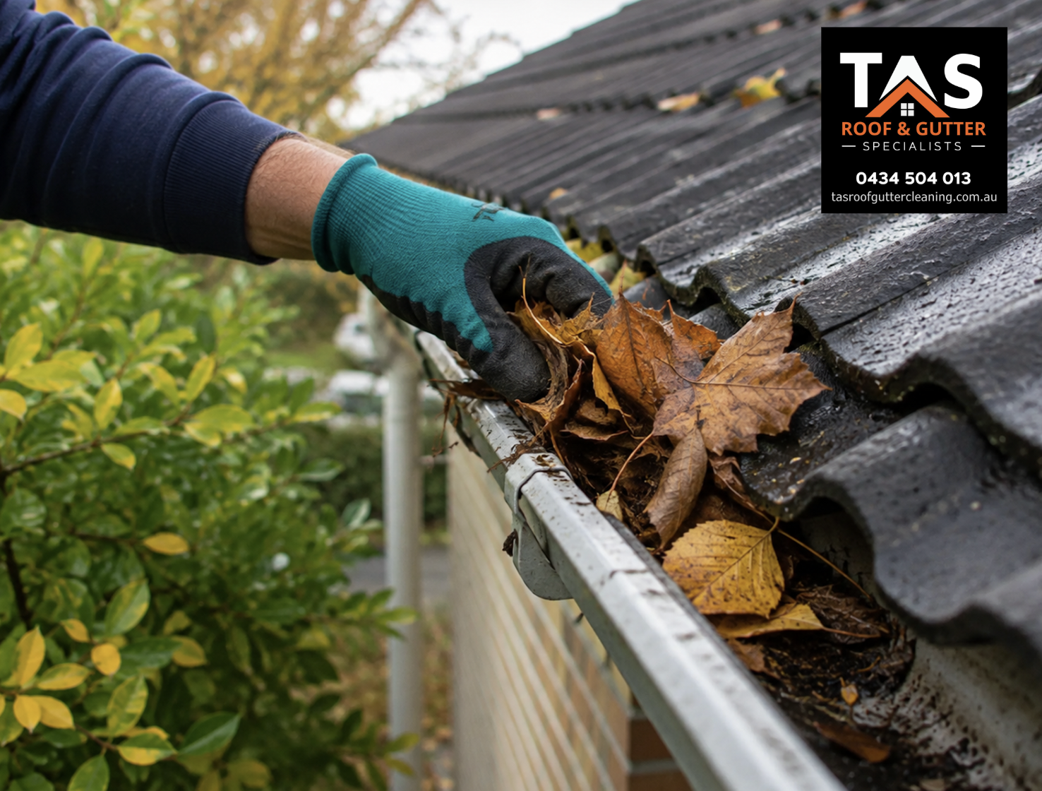 Technician removing leaves from blocked gutters on a Burnie home to prevent overflow and water damage