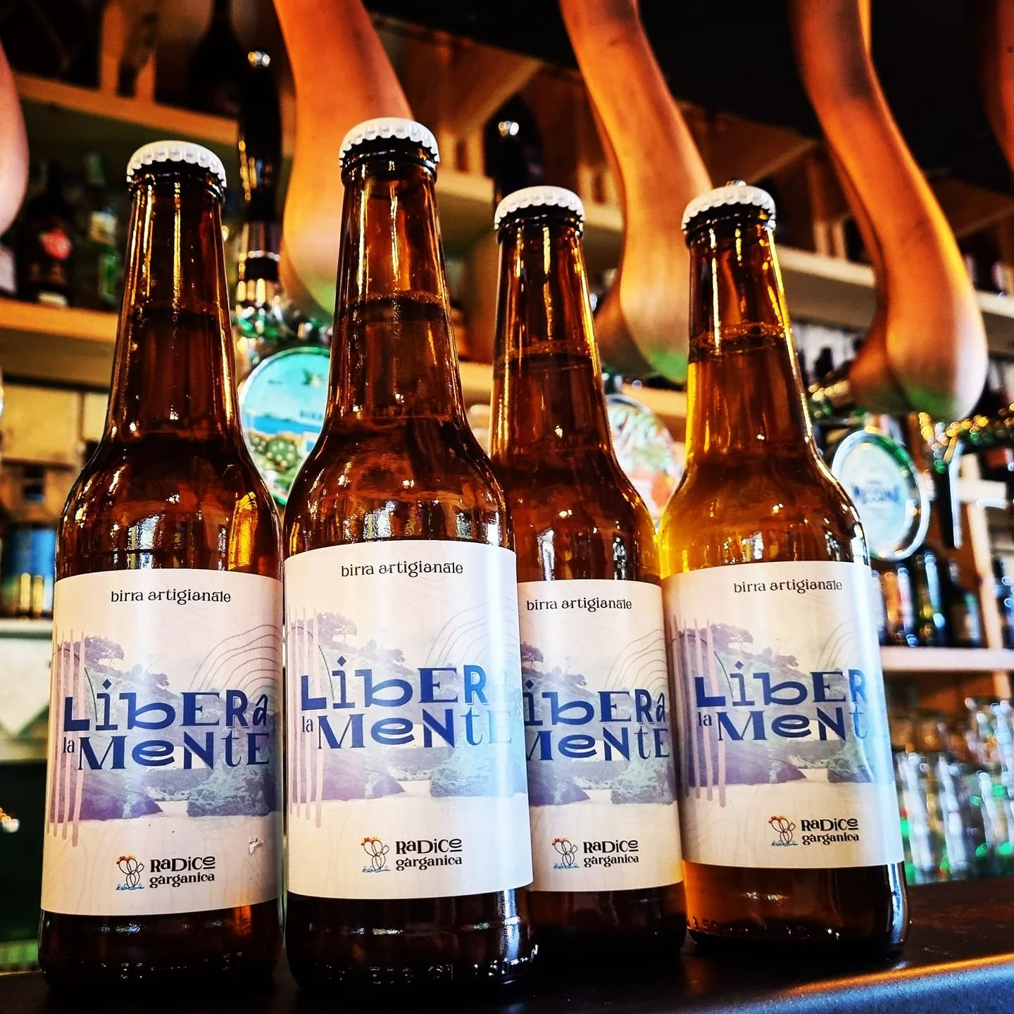 foto radice garganica barboni.jpg