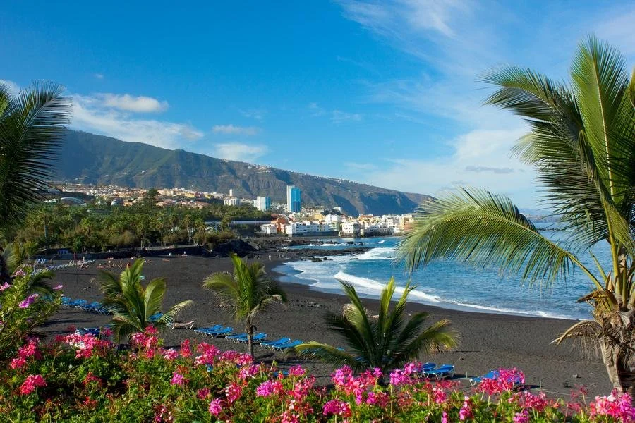 Een tropisch strand met palmbomen, bloemen en ligstoelen, uitzicht op een stad en bergen op de achtergrond, onder een heldere blauwe lucht.