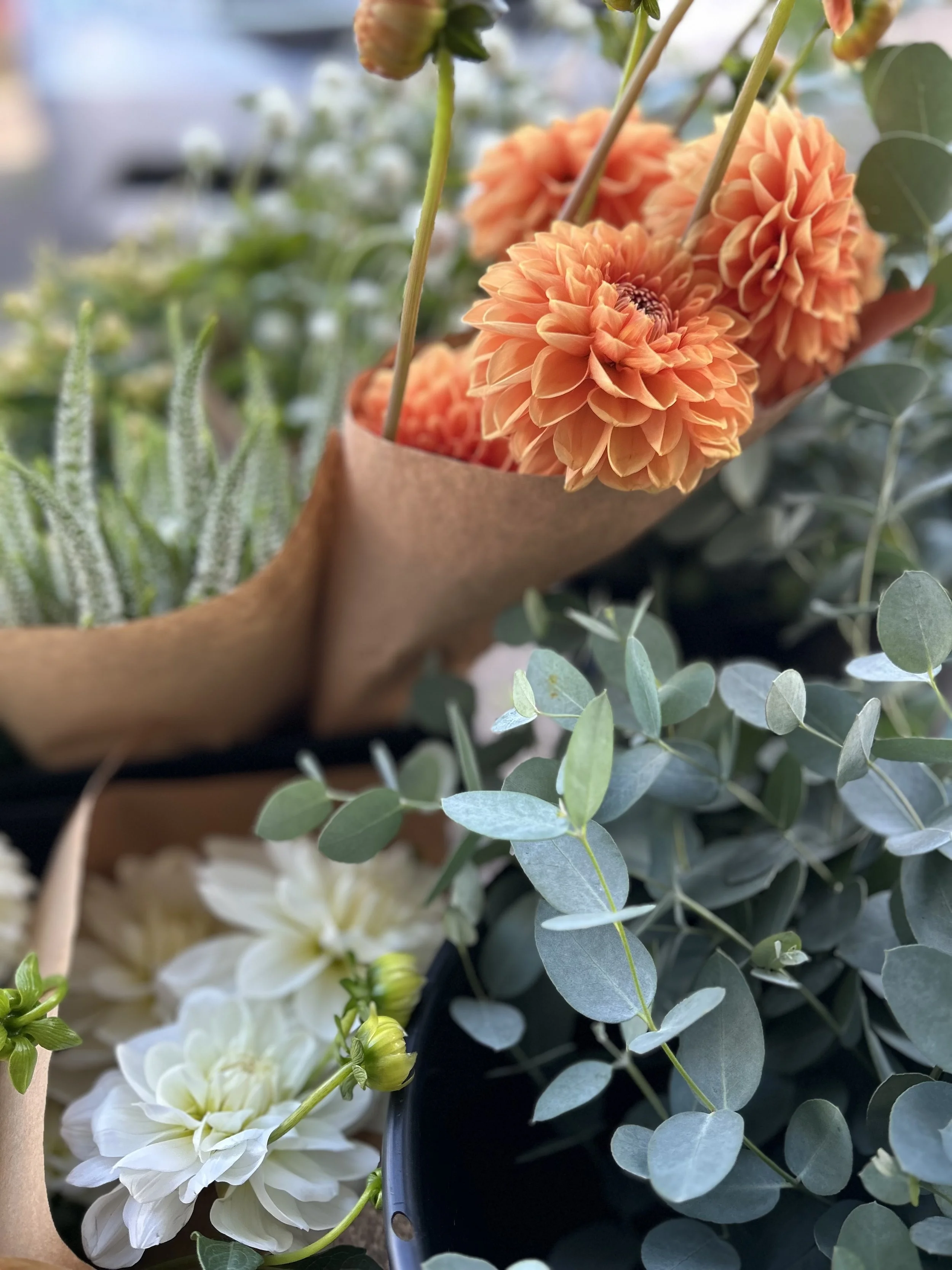 Extra Blooms (3)