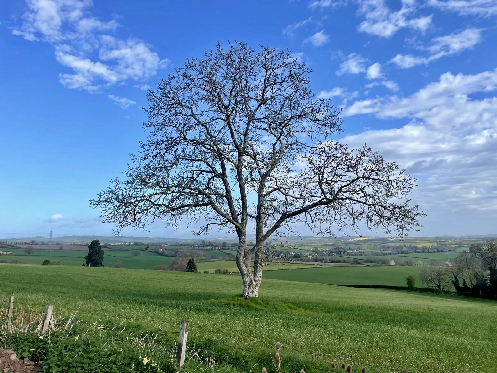 Herefordshire landscape