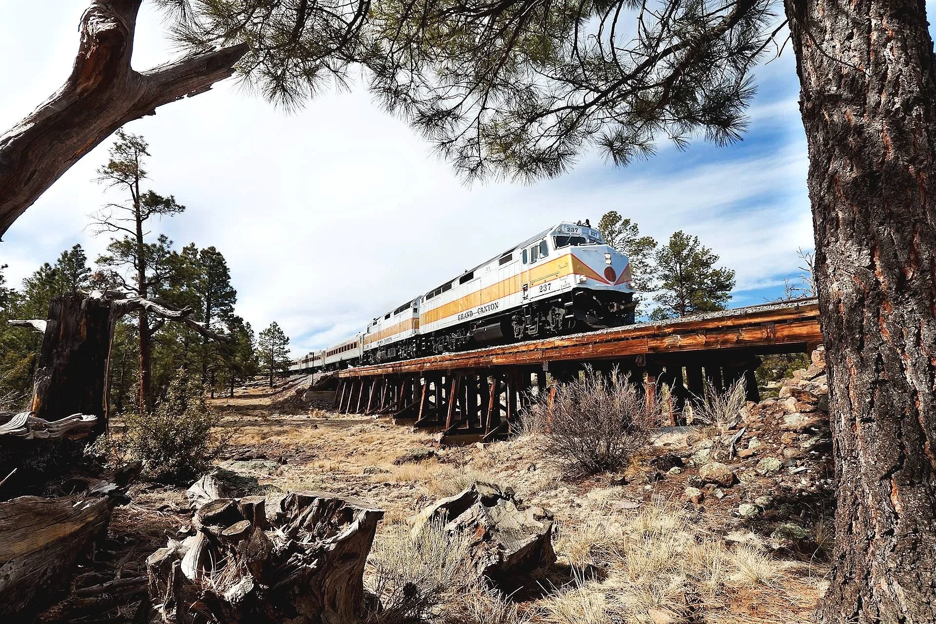 A White train with orange and yellow stripes traveling through a forested area on a wooden bridge surrounded by tall trees and rocky terrain.