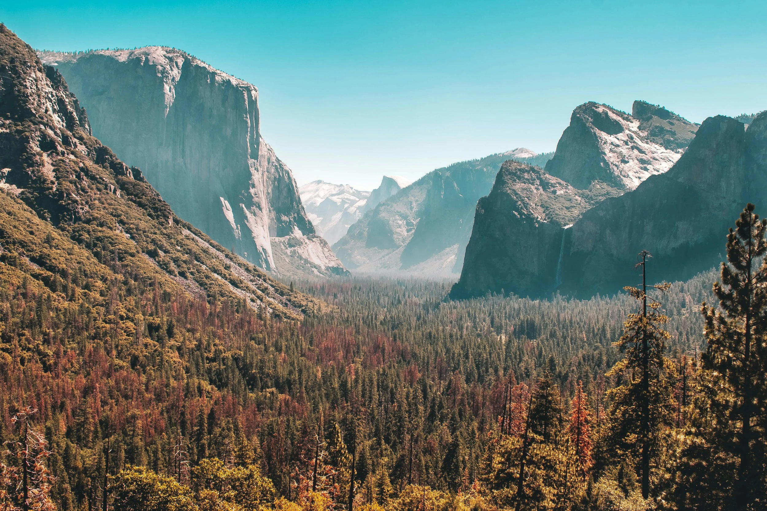 A scenic view of mountains with dense forest in the foreground and towering rock formations under a clear blue sky.