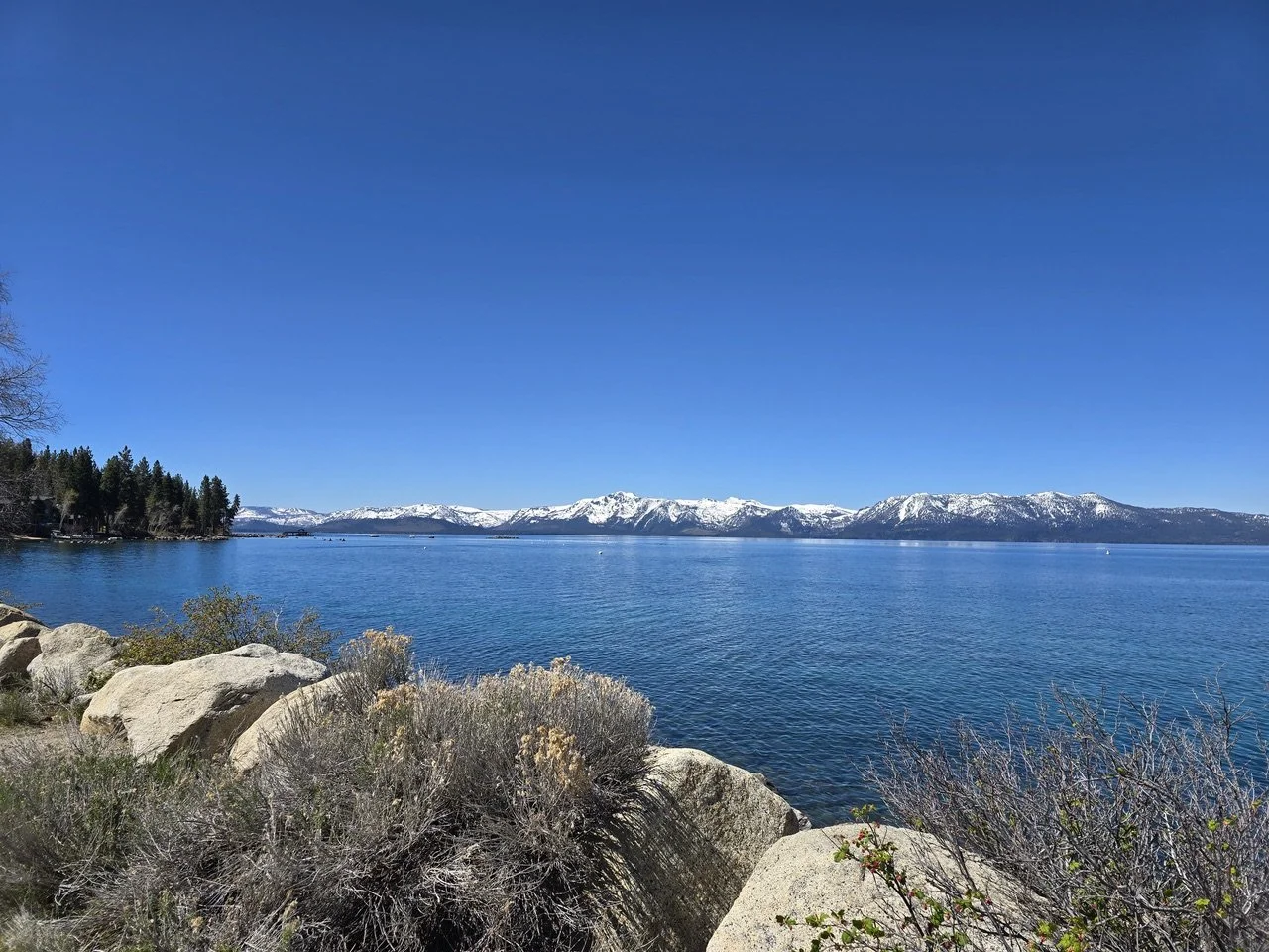 Calm blue lake with snow-capped mountains in the background, rocky shoreline, and sparse vegetation in the foreground.