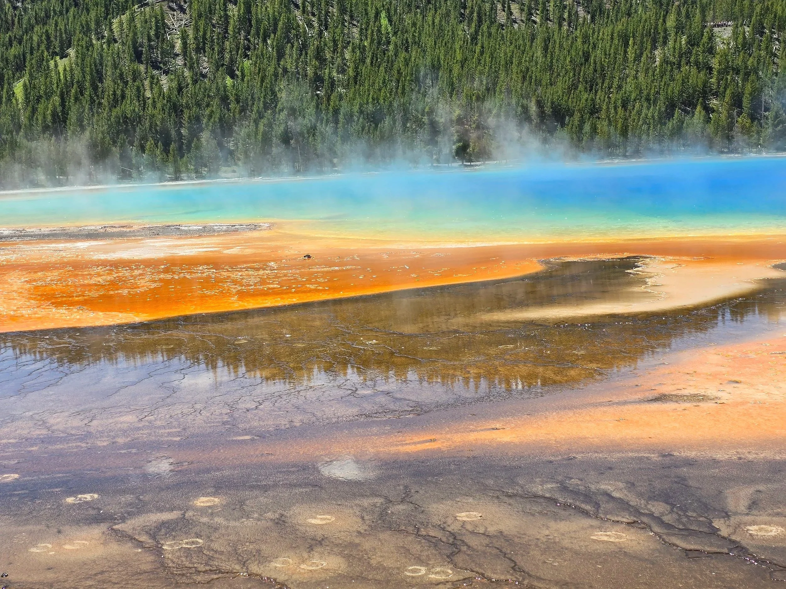 Colorful hot spring with rainbow-colored water surrounded by forest and steam rising from the surface.