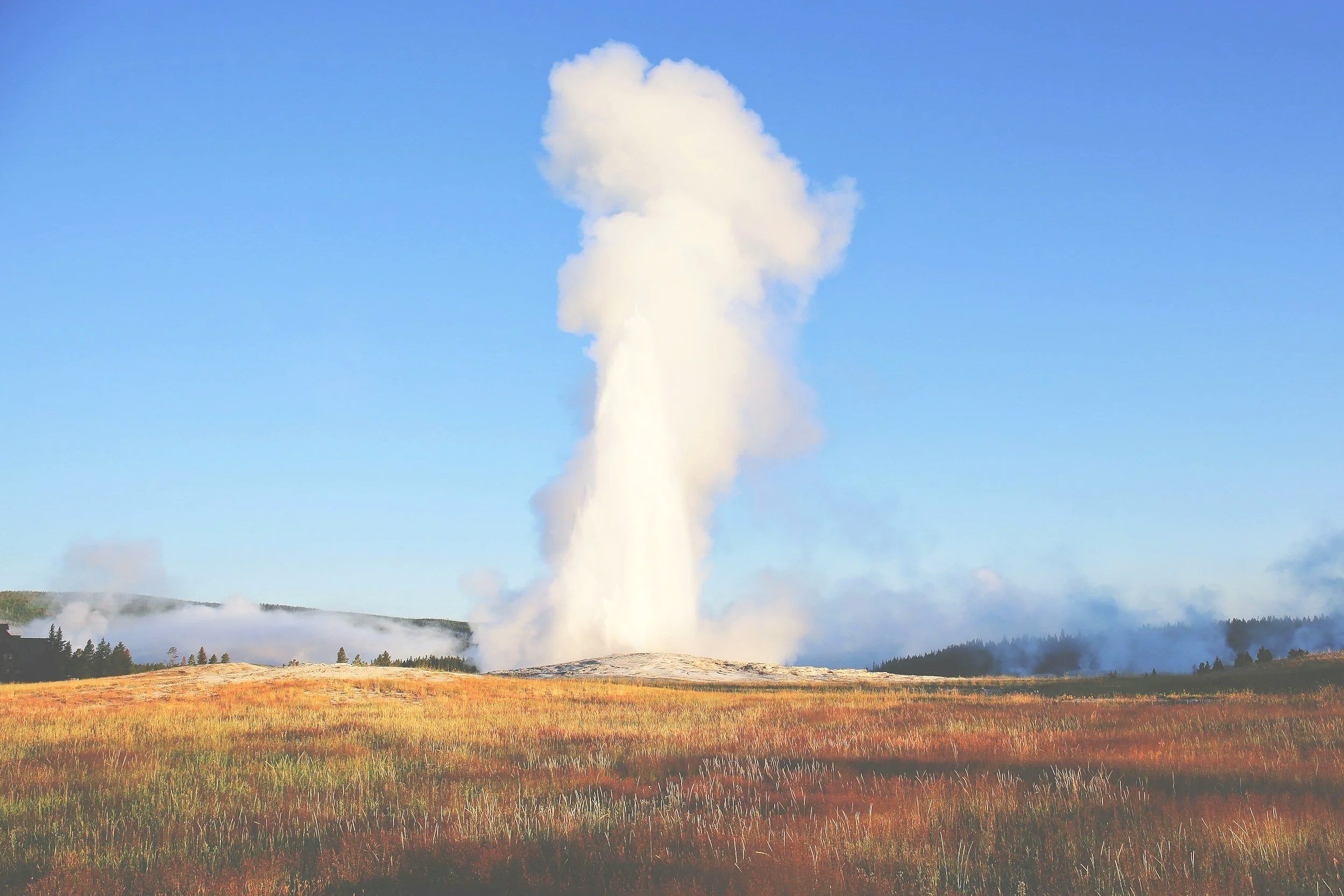 A geyser erupting in a grassy landscape with blue sky and some clouds.