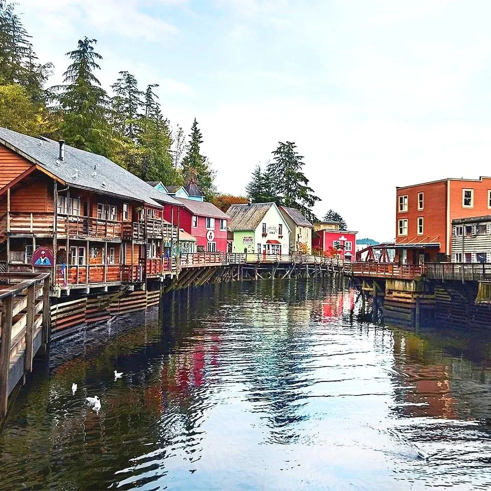 Colorful buildings along a waterfront with ducks swimming in the water and tall trees in the background.