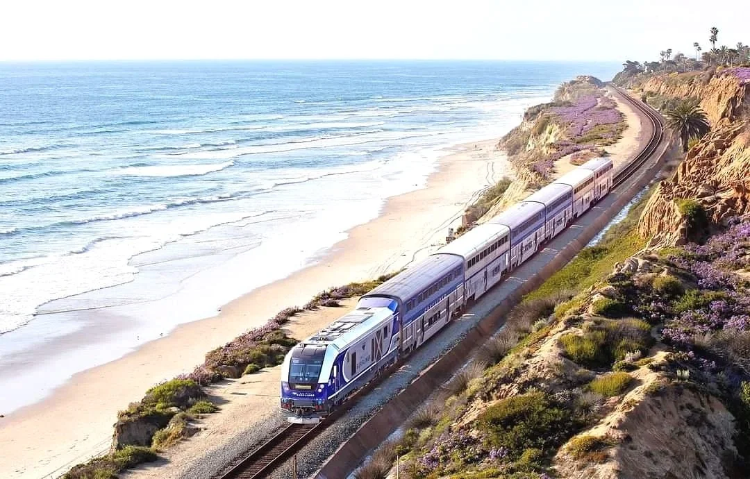 A modern passenger train traveling along a coastal railway track with a beach and ocean on one side and rocky cliffs with purple flowers on the other.