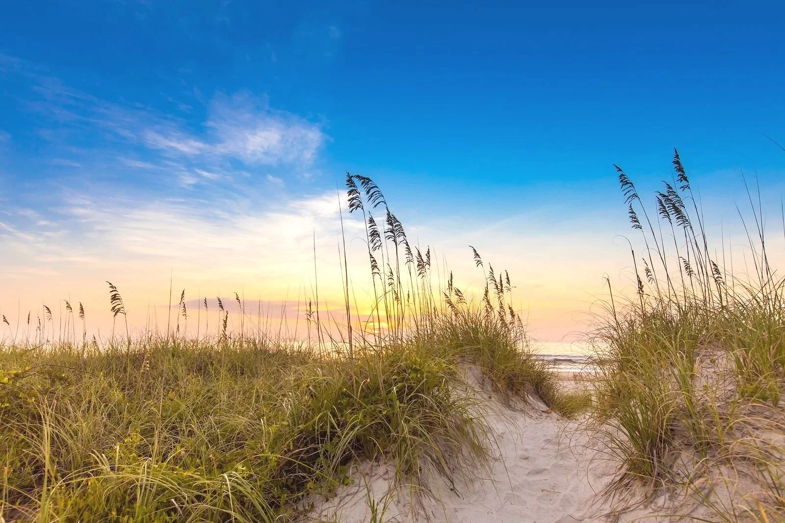 Beach scene with sandy pathway through grassy dunes and a colorful sunset sky with blue and pink hues.