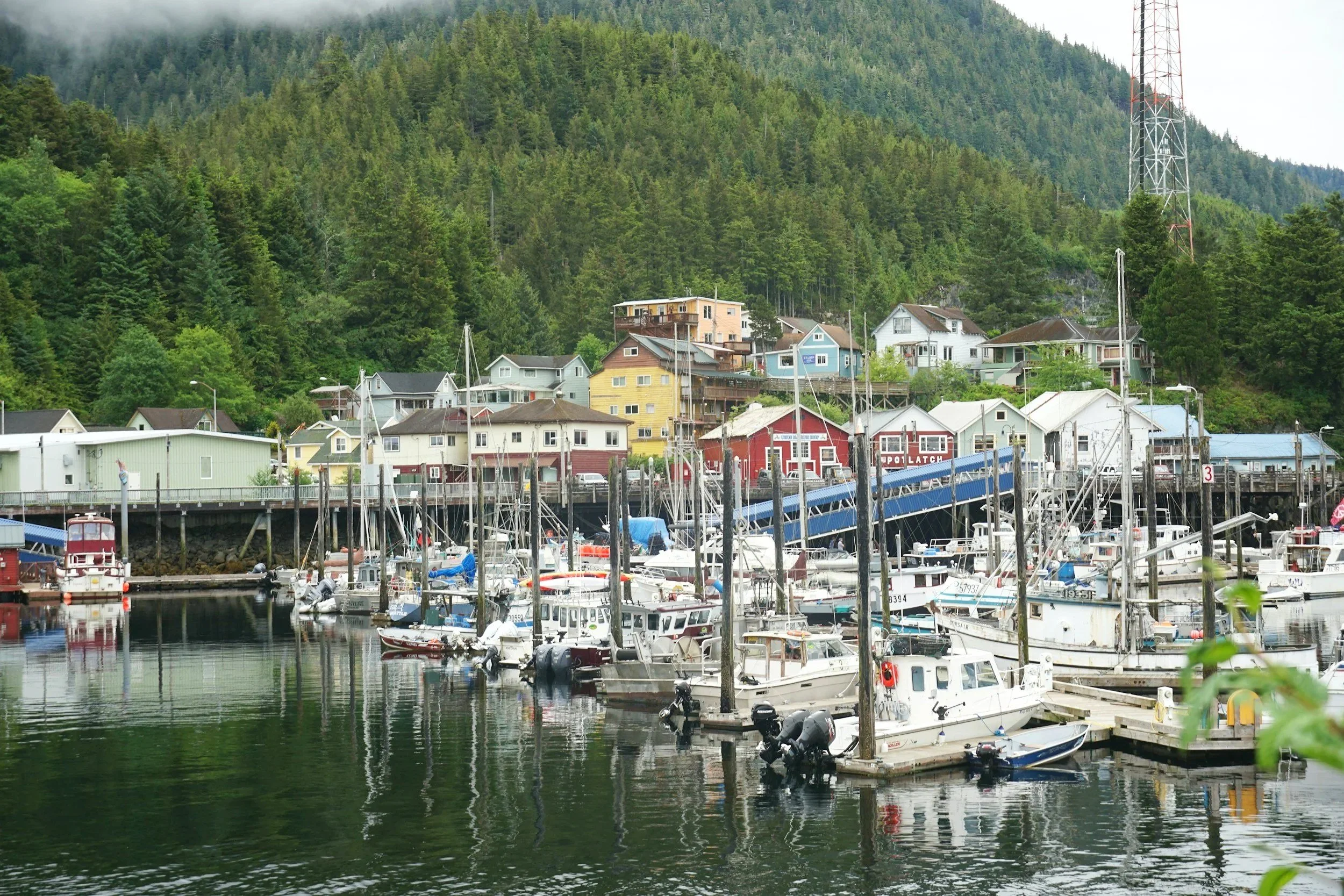 A harbor with numerous boats docked, colorful houses built on a hillside, and a forested mountain in the background.