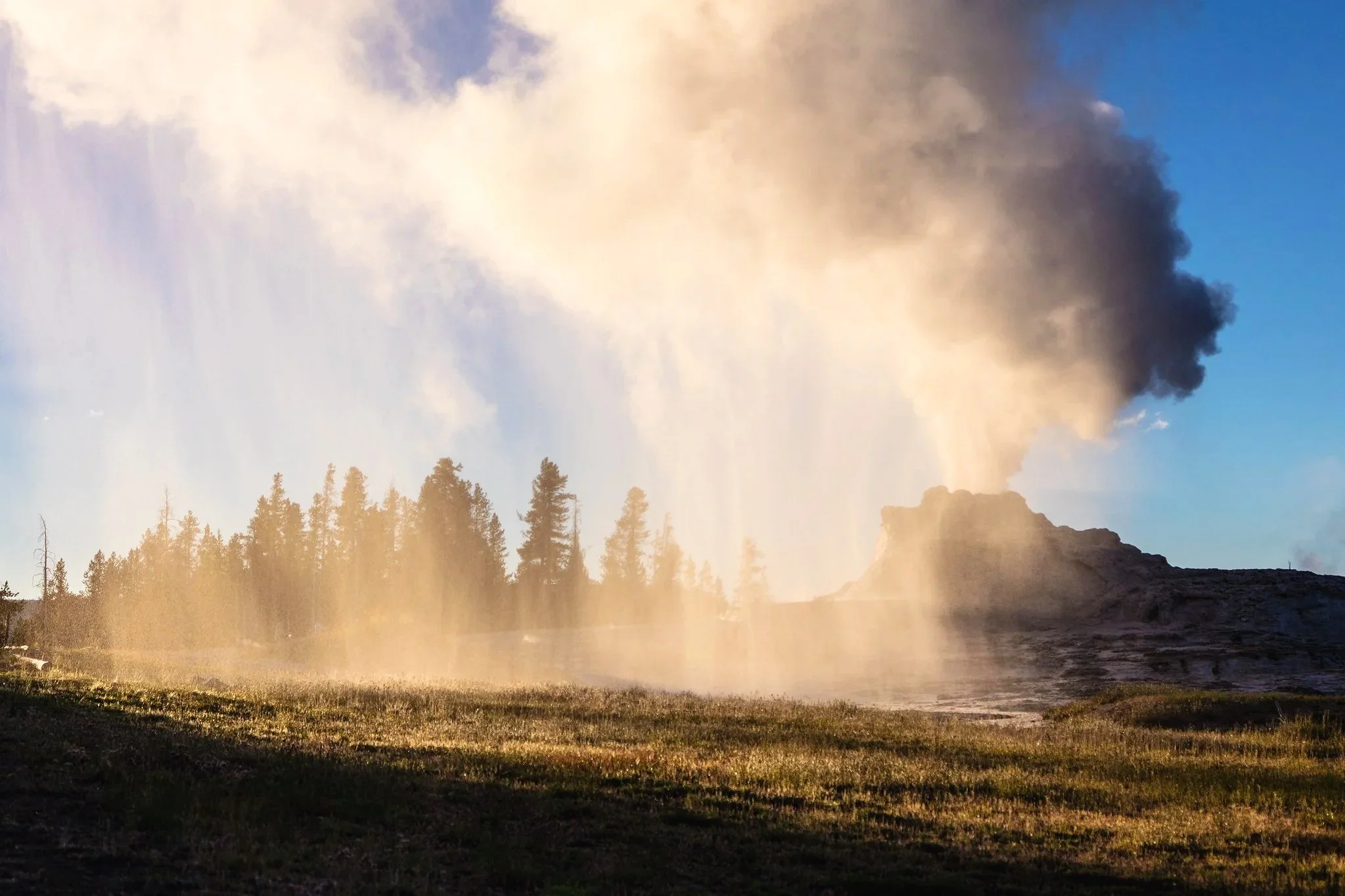 A landscape scene with trees in the foreground, a grassy area, and a smoky plume rising in the background during sunset or sunrise.