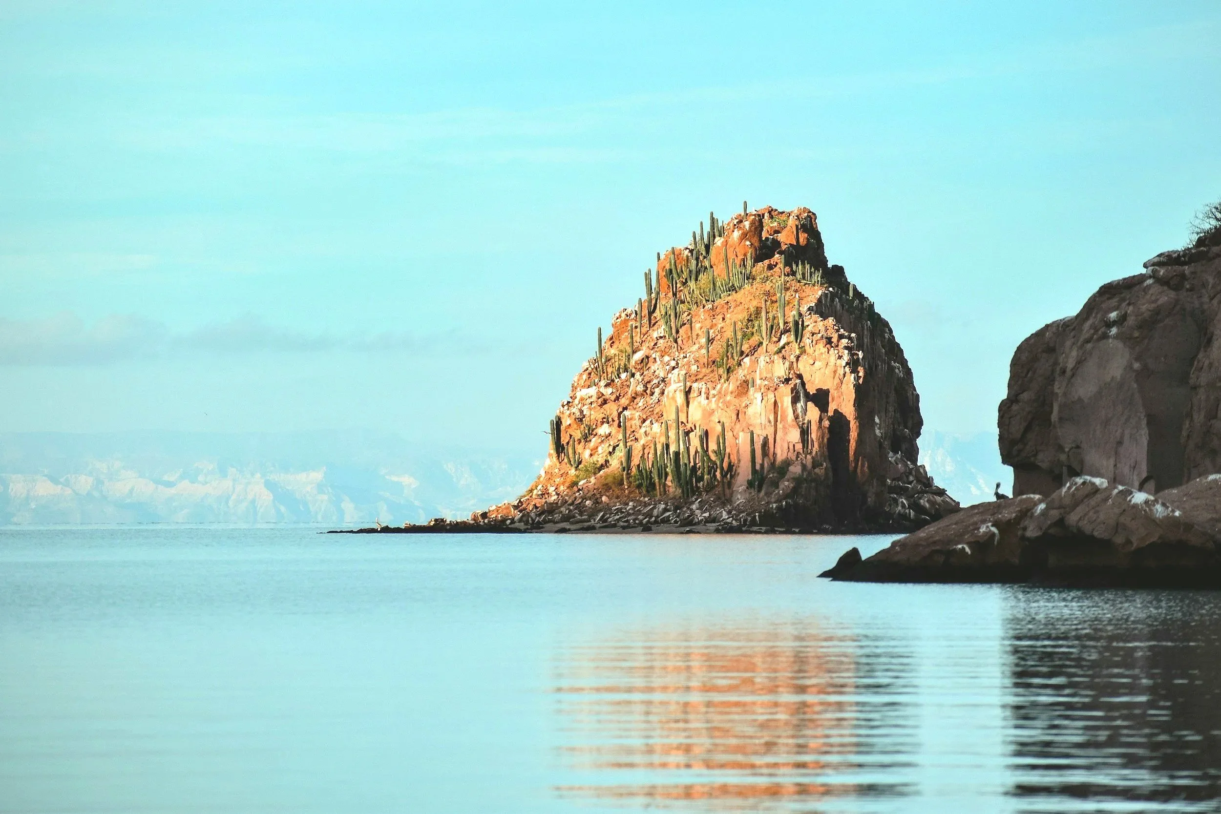 A rocky island with tall cactus plants in the middle of a calm body of water, with a mountain range and clear sky in the background.