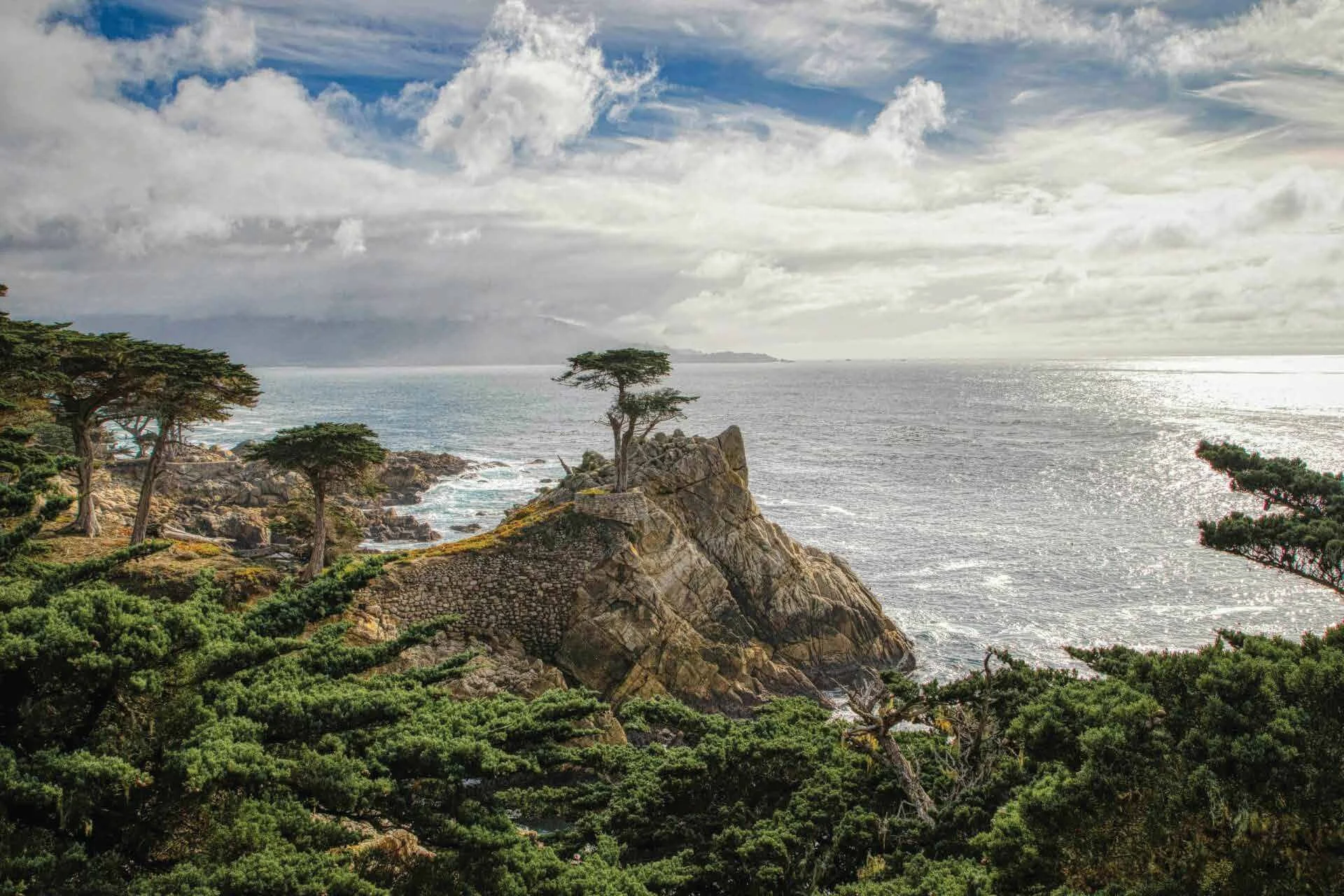 The Lone Cypress above the Pacific Ocean on 17-Mile Drive near Monterey, California.