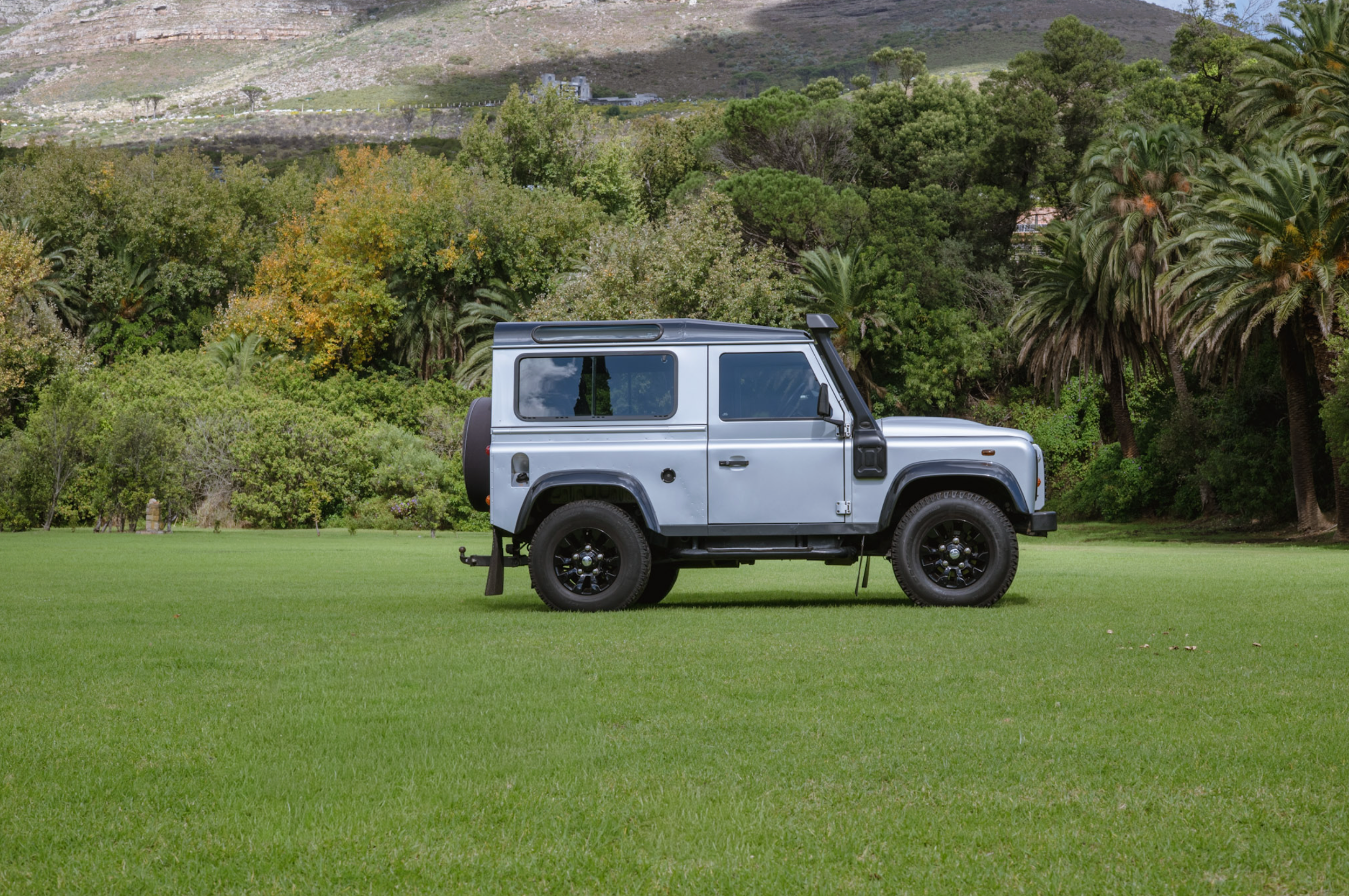 1Landy.png
