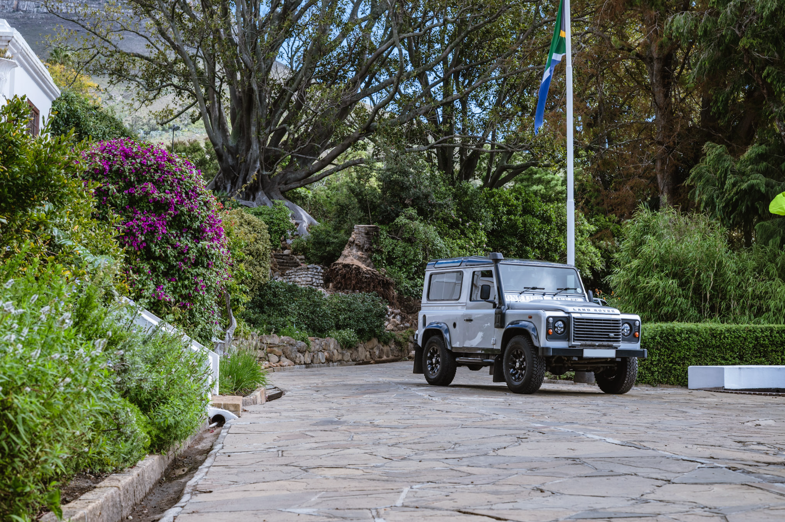 11Landy.png