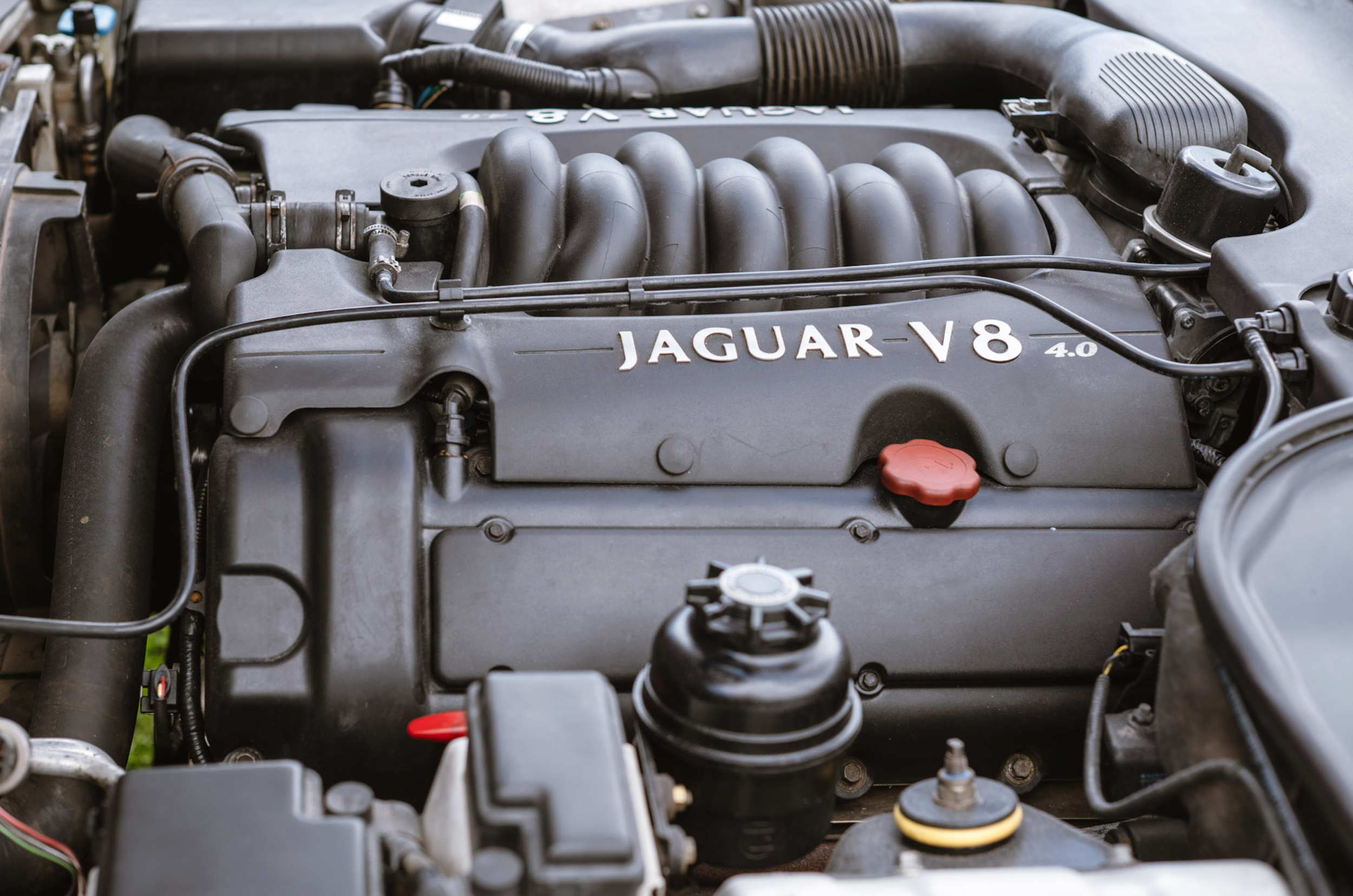 7Jag.png