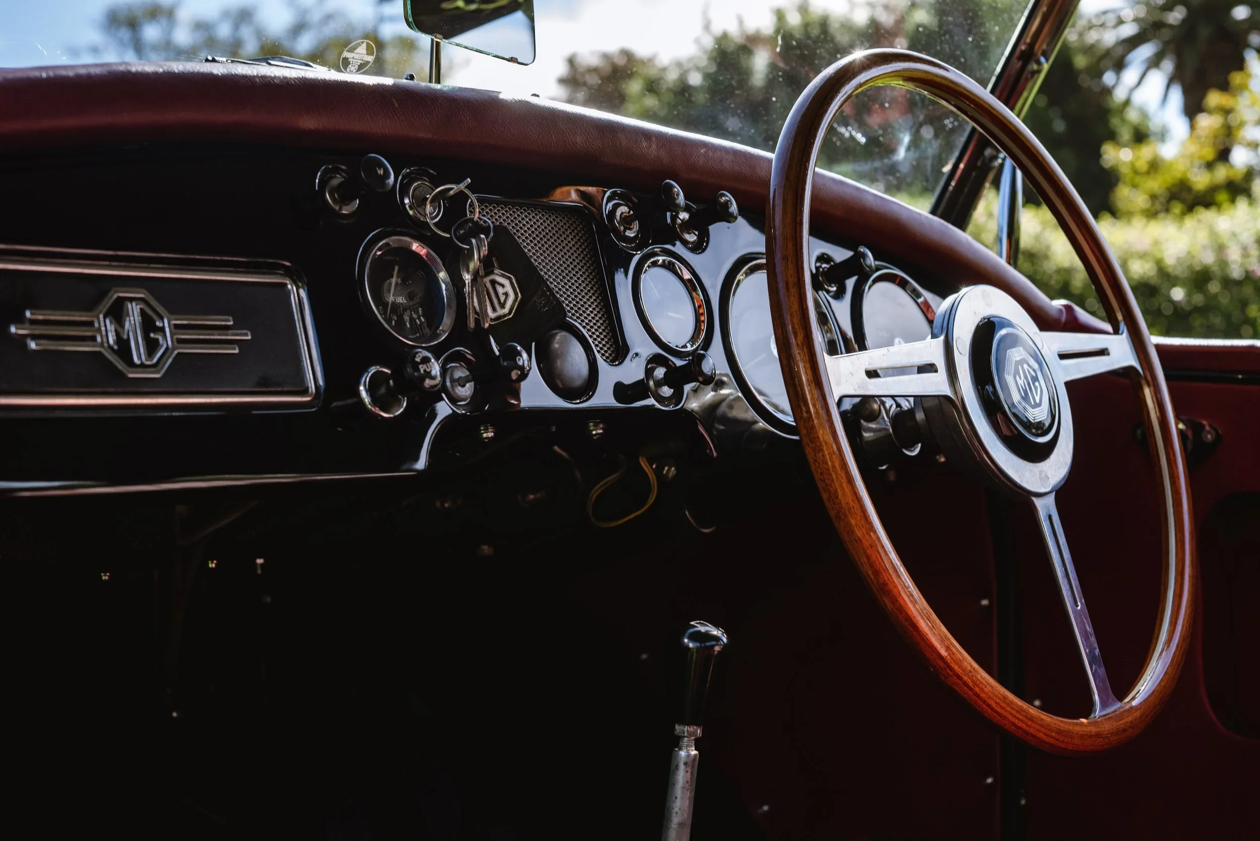 83-_DSC1987.jpg.webp