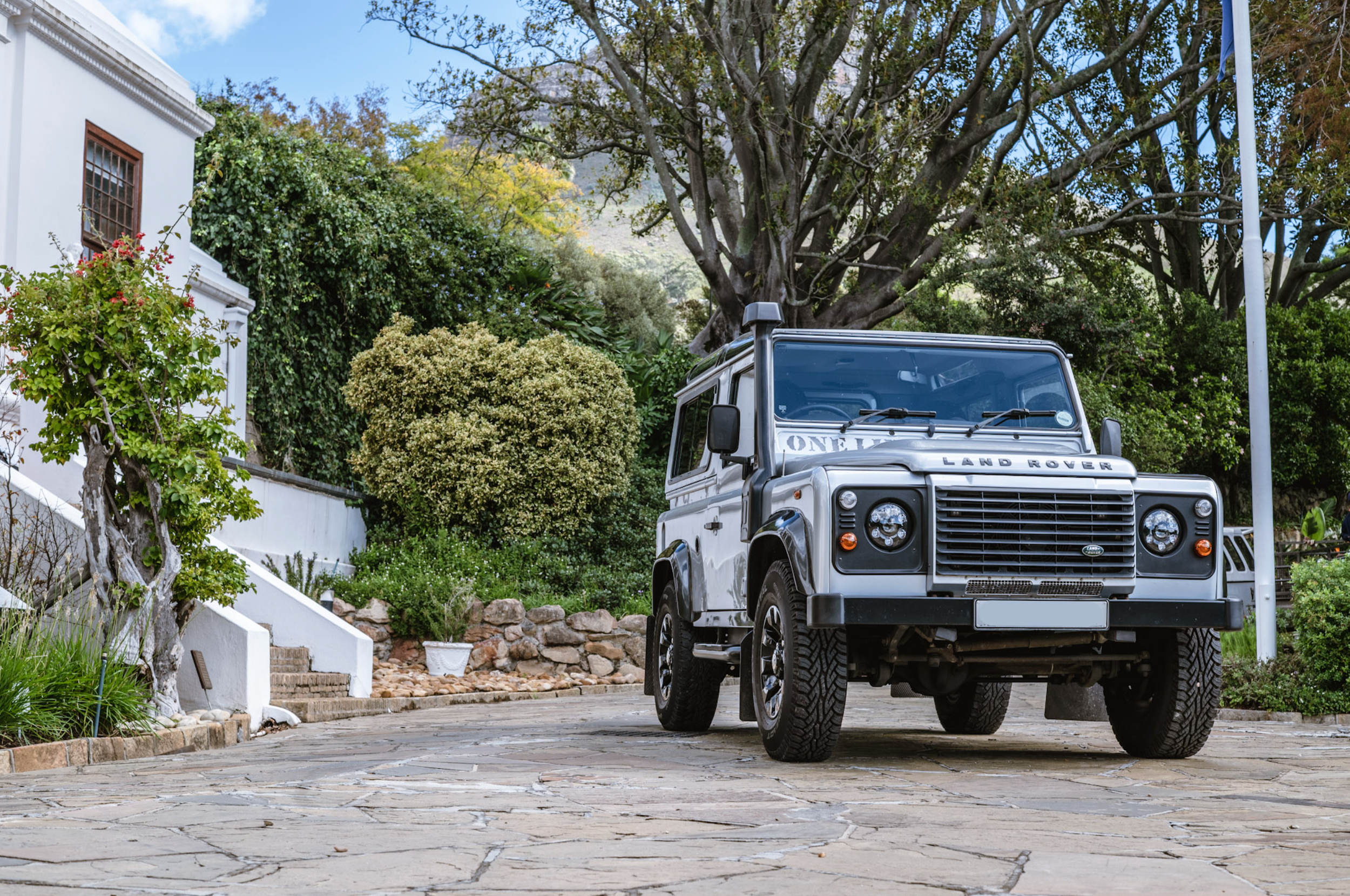 12Landy.png