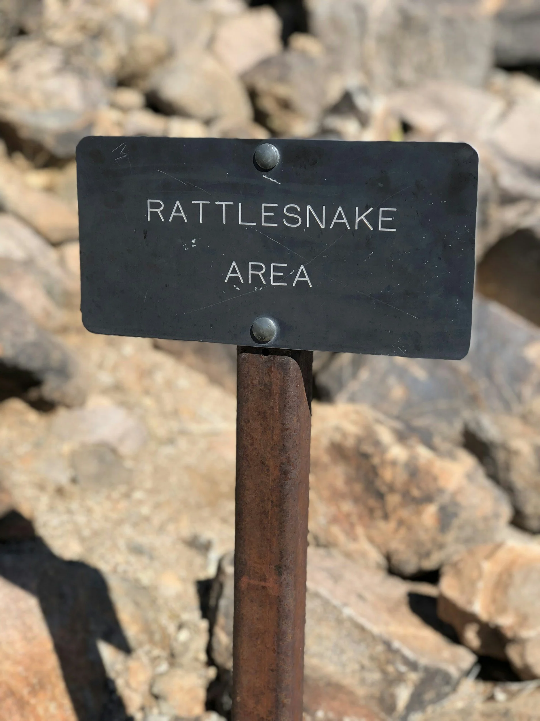 A metal sign with the words 'Rattlesnake Area' engraved on it, mounted on a rusty metal post against a rocky background.