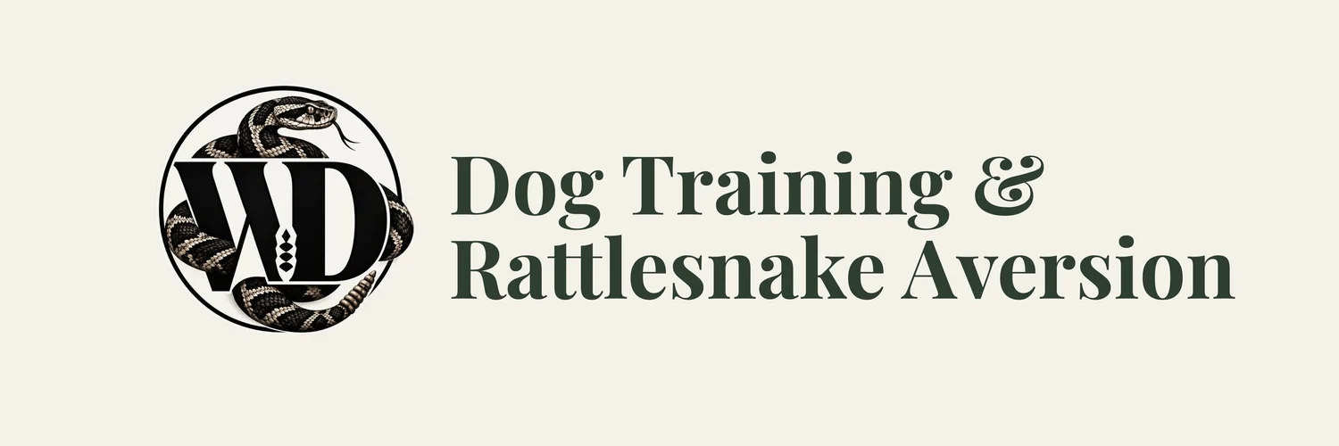 Dog Training &amp; Rattlesnake Aversion