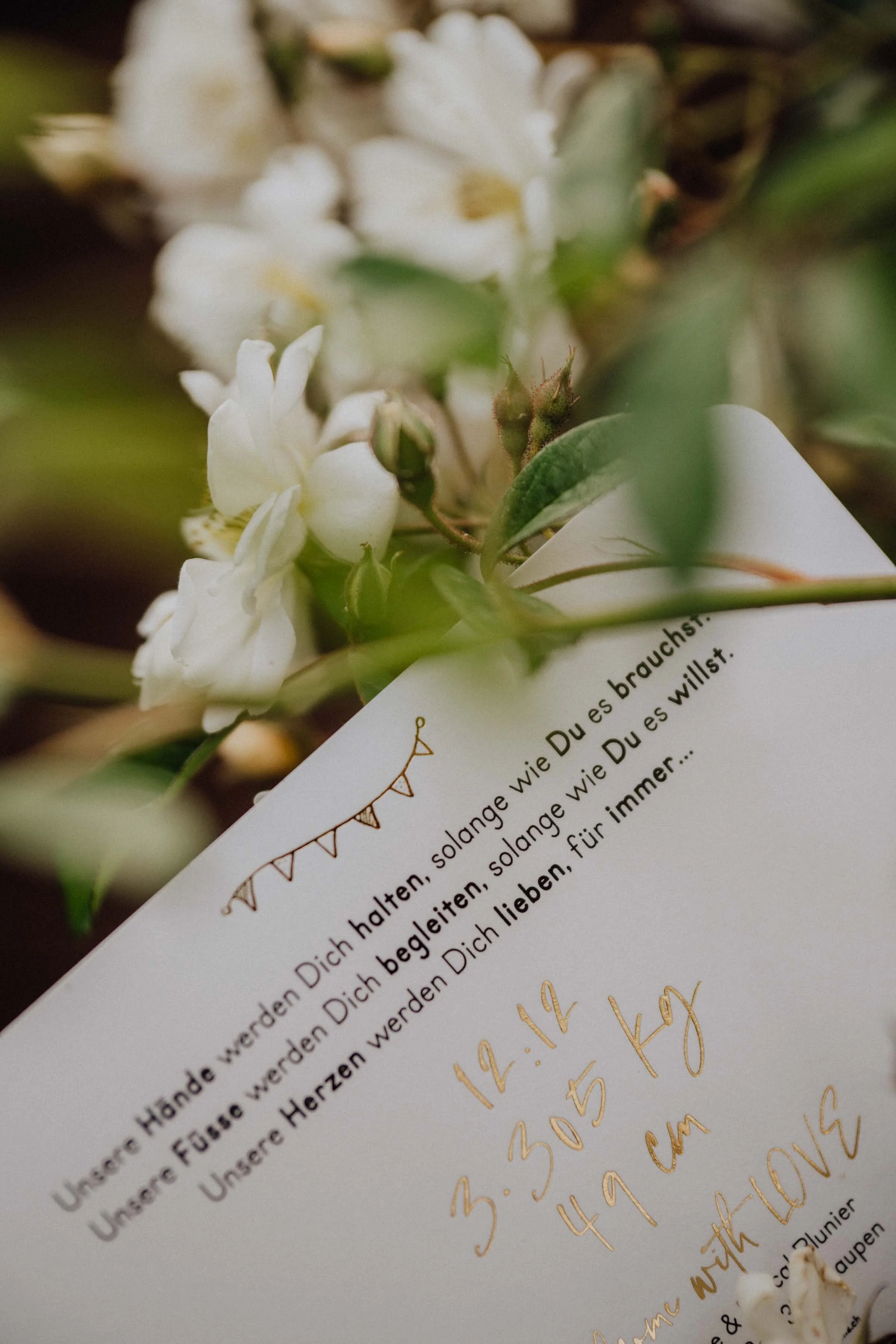 Faire-part-naissance_02.jpg