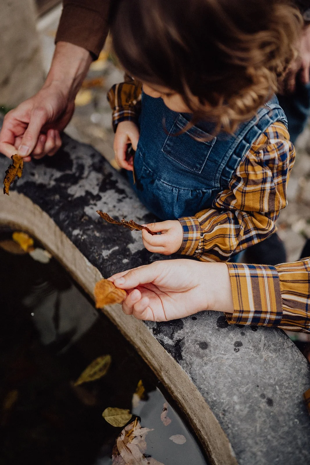 Détail poétique d’une séance photo famille lifestyle en automne en Suisse : un enfant découvre les feuilles avec ses parents, capturé dans un instant tendre, naturel et authentique par Nonante Émotions.