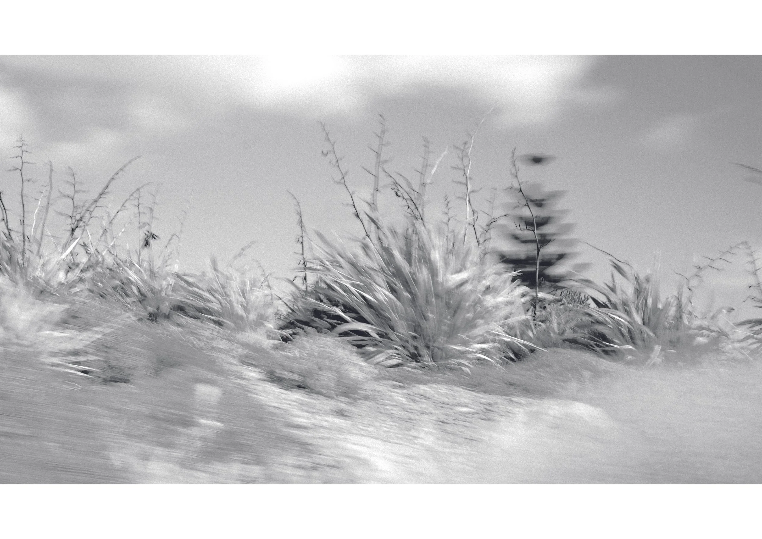 420mmx594mm_Fara_Manuel_1X copy.jpg