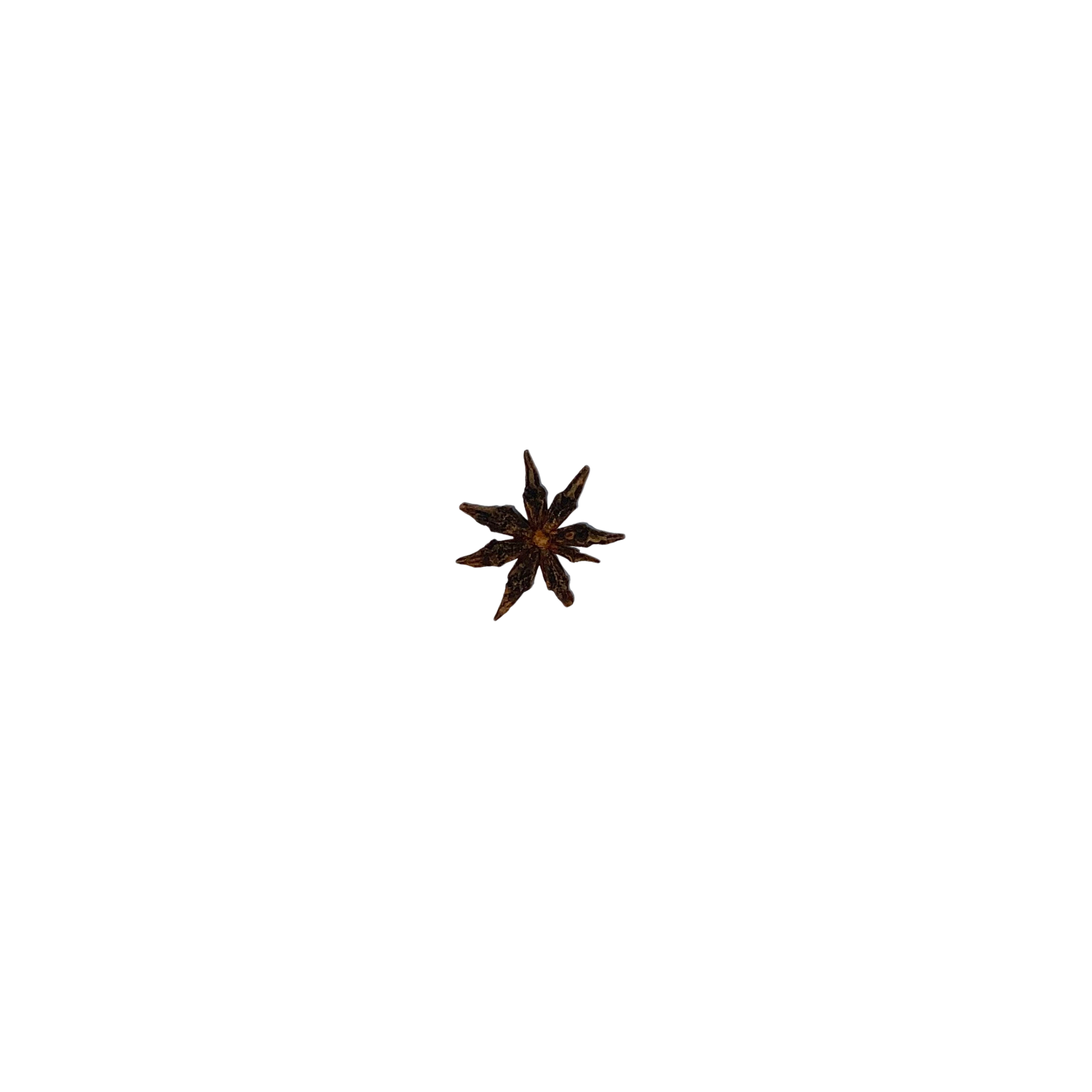 Star Anise