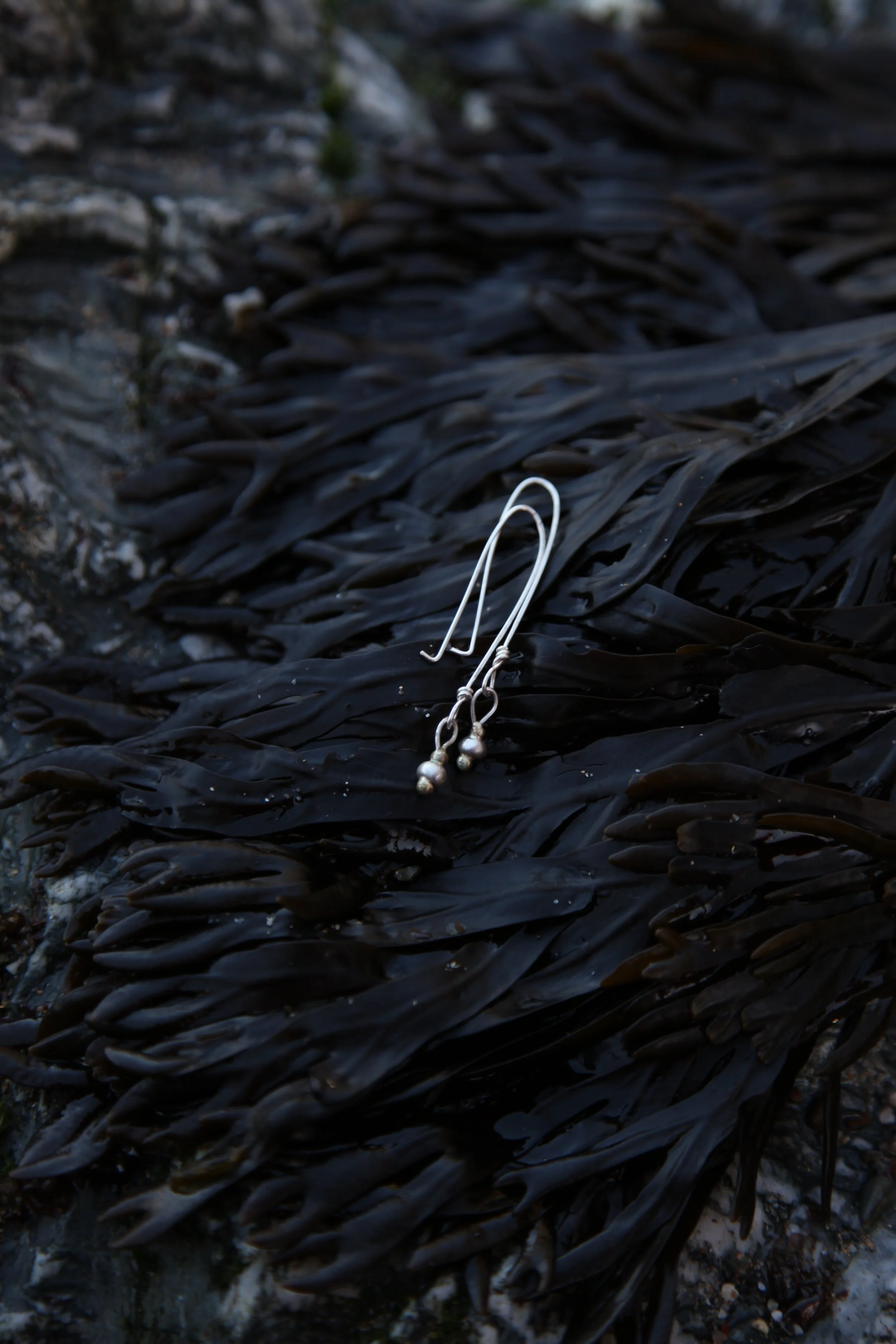 Close-up of black seaweed washed up on a rocky shore with a pair of metal tongs resting on it.