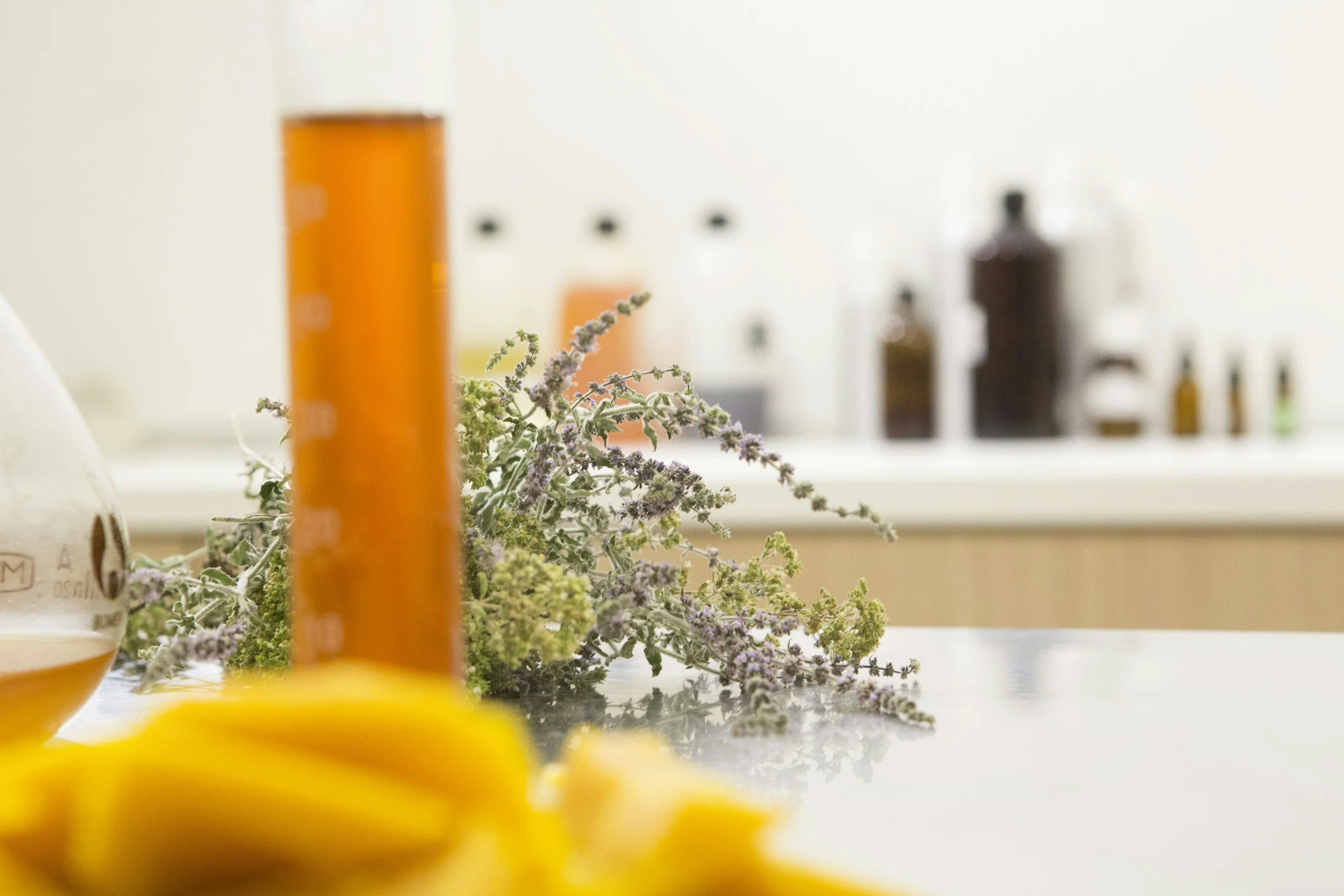 Blurred yellow flowers in the foreground, with medicinal bottles and a bunch of lavender flowers in the background on a white countertop.