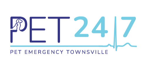 PET 24/7
