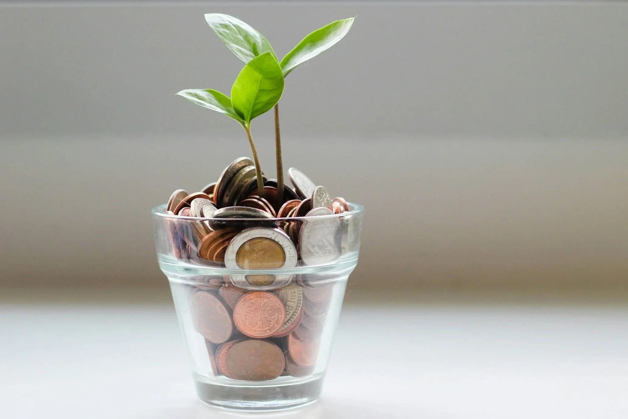 A small potted plant with green leaves growing from a glass container filled with various coins.