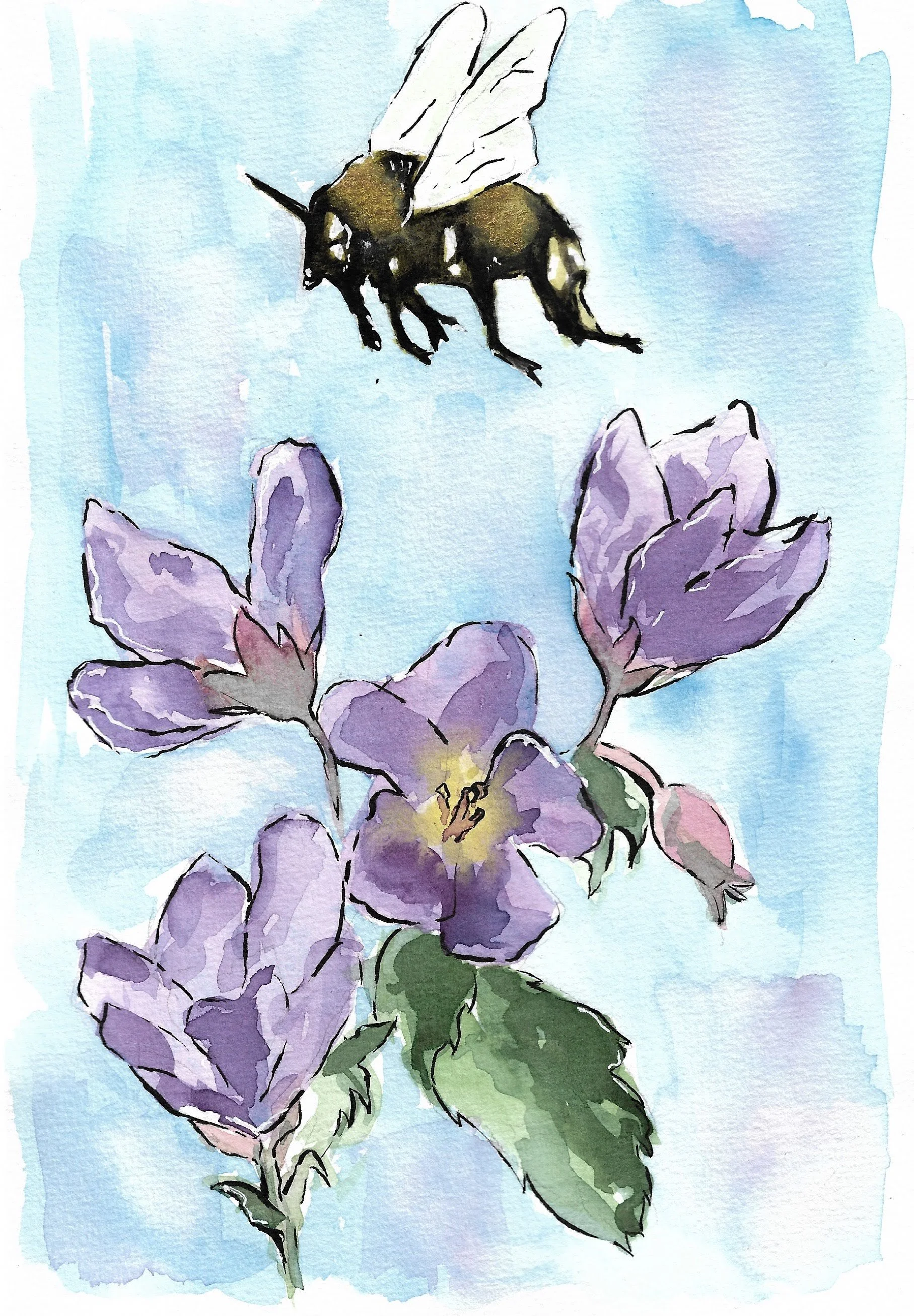    ”Watercolour practise” [2019]   
Watercolour on paper - 15×23cm
 
57€