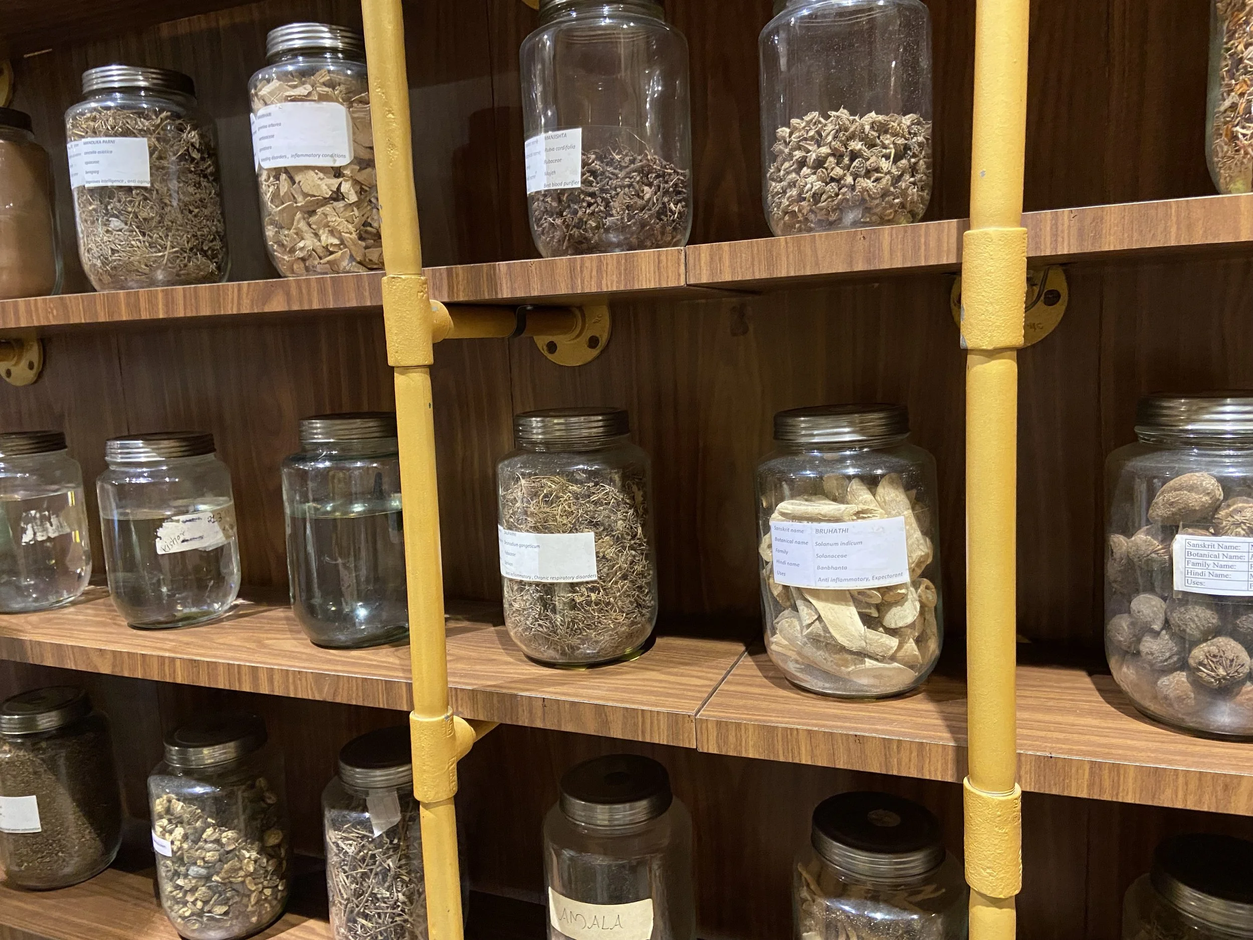 LAS ELIMINACIONES O MALAS 