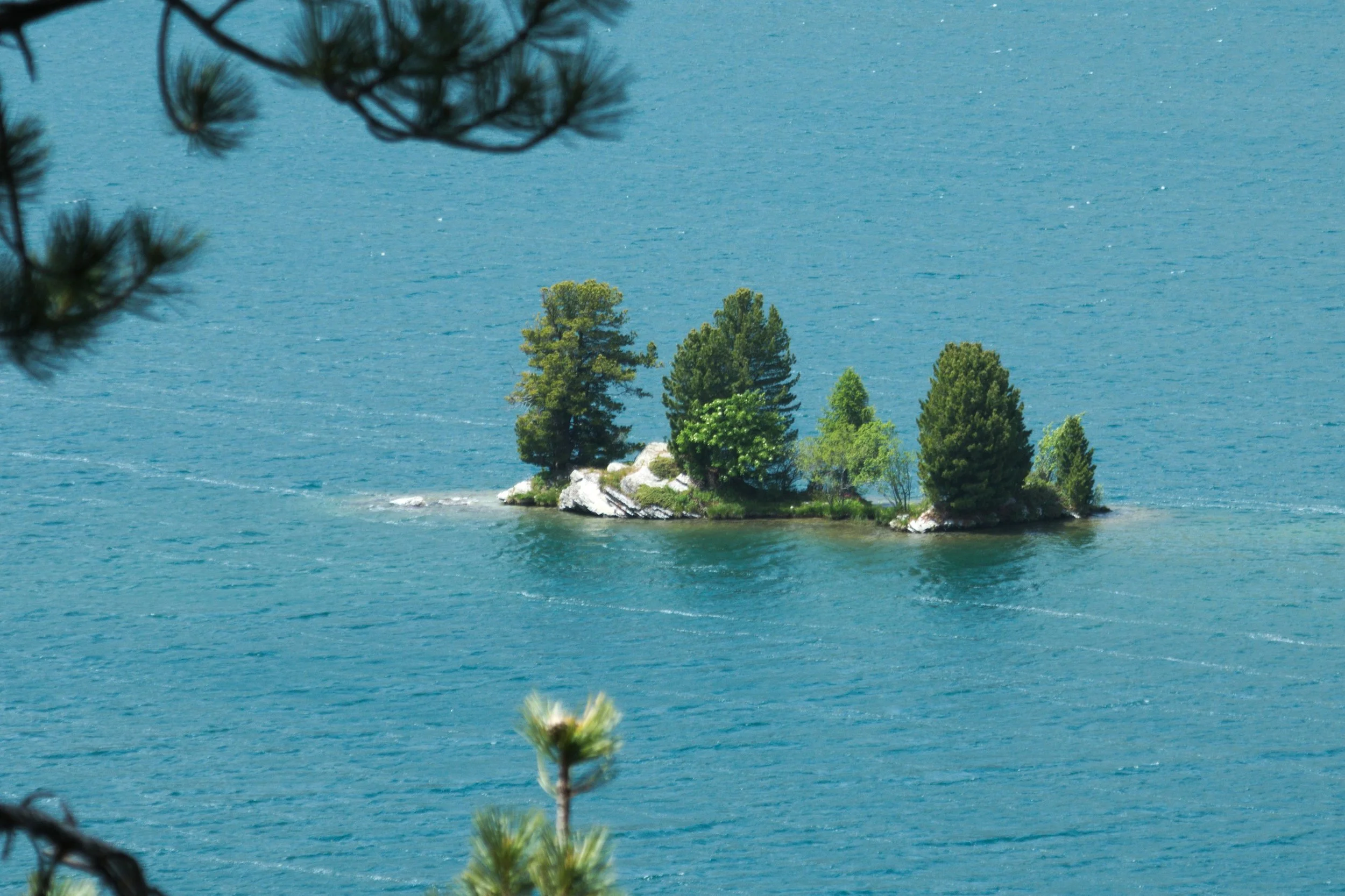 Tierra y agua. El dosha de la estabilidad y la resistencia al cambio.
