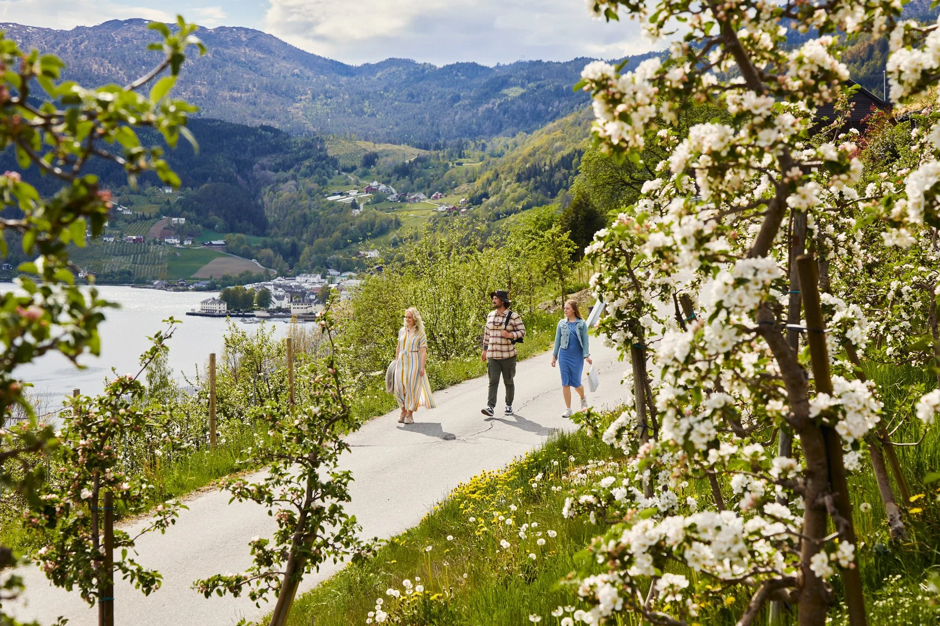 VISITHARDANGERFJORD_ULVIK_SIDERRUTA_HAARA_2021_C35A8970_3x2.jpg