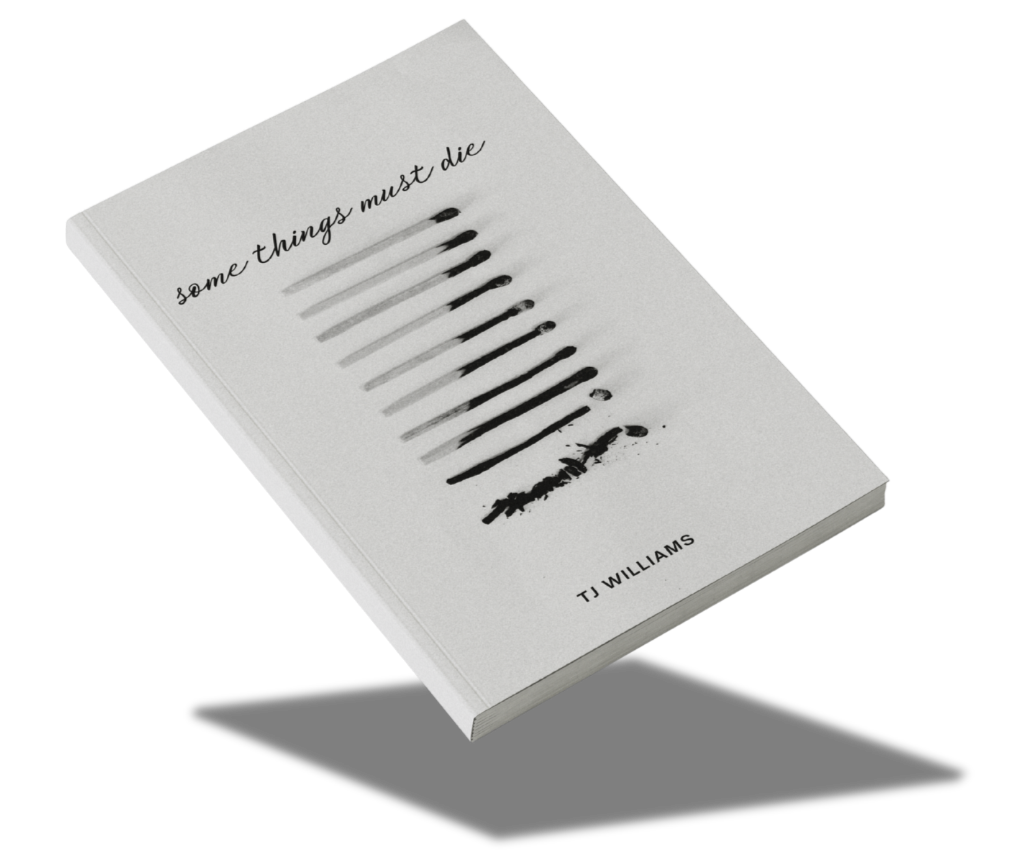 A book titled 'Some Things Must Die' by TJ Williams with a cover design featuring a stack of matches in varying stages of use until it's just a line of ash.