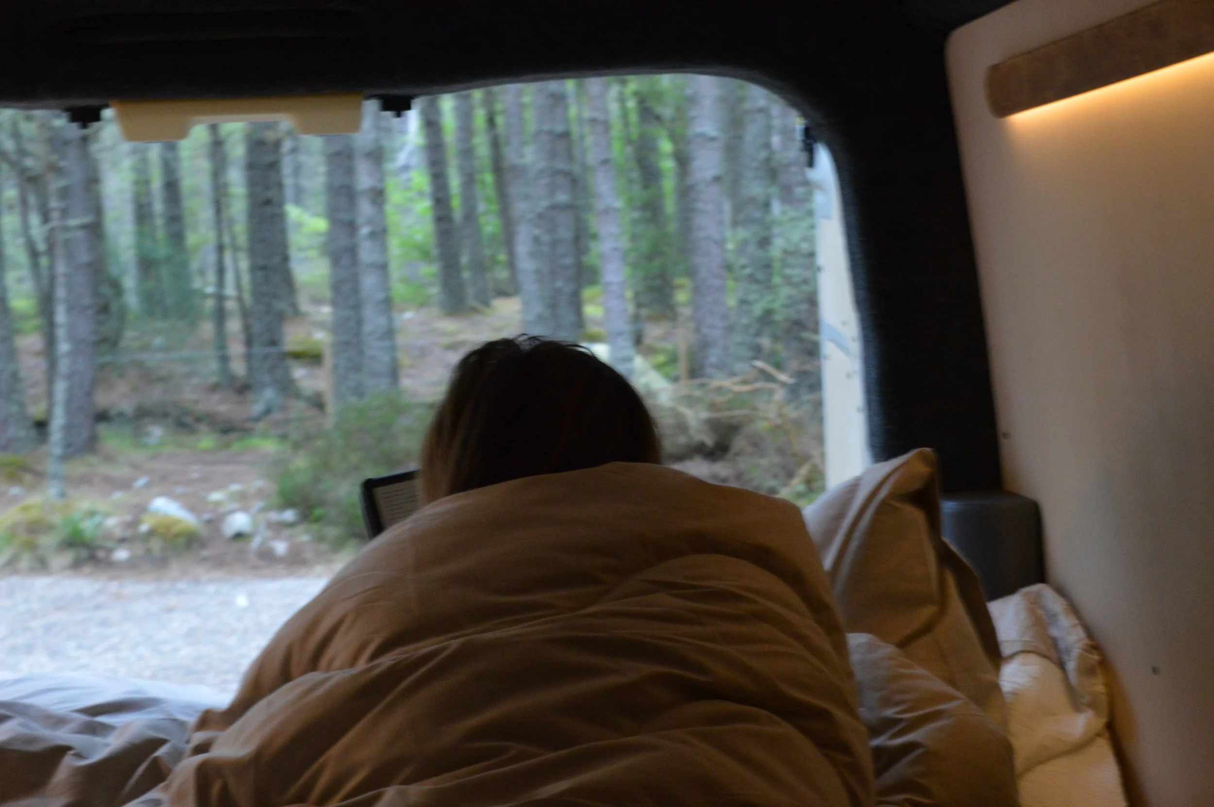 Girl lying on a campervan bed looking out of the doors at a wooded forest.