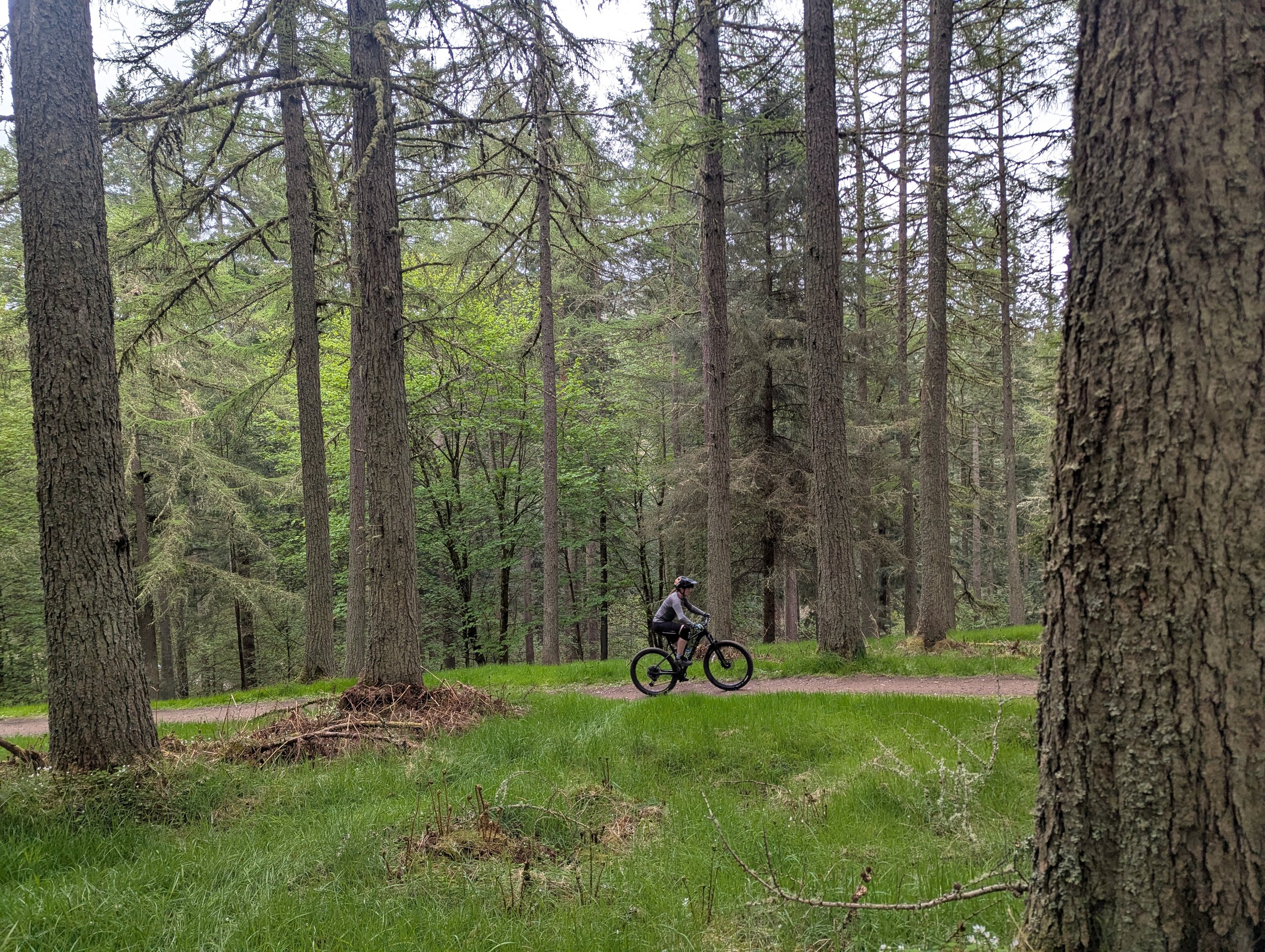Mountain Bike Glentress.jpg