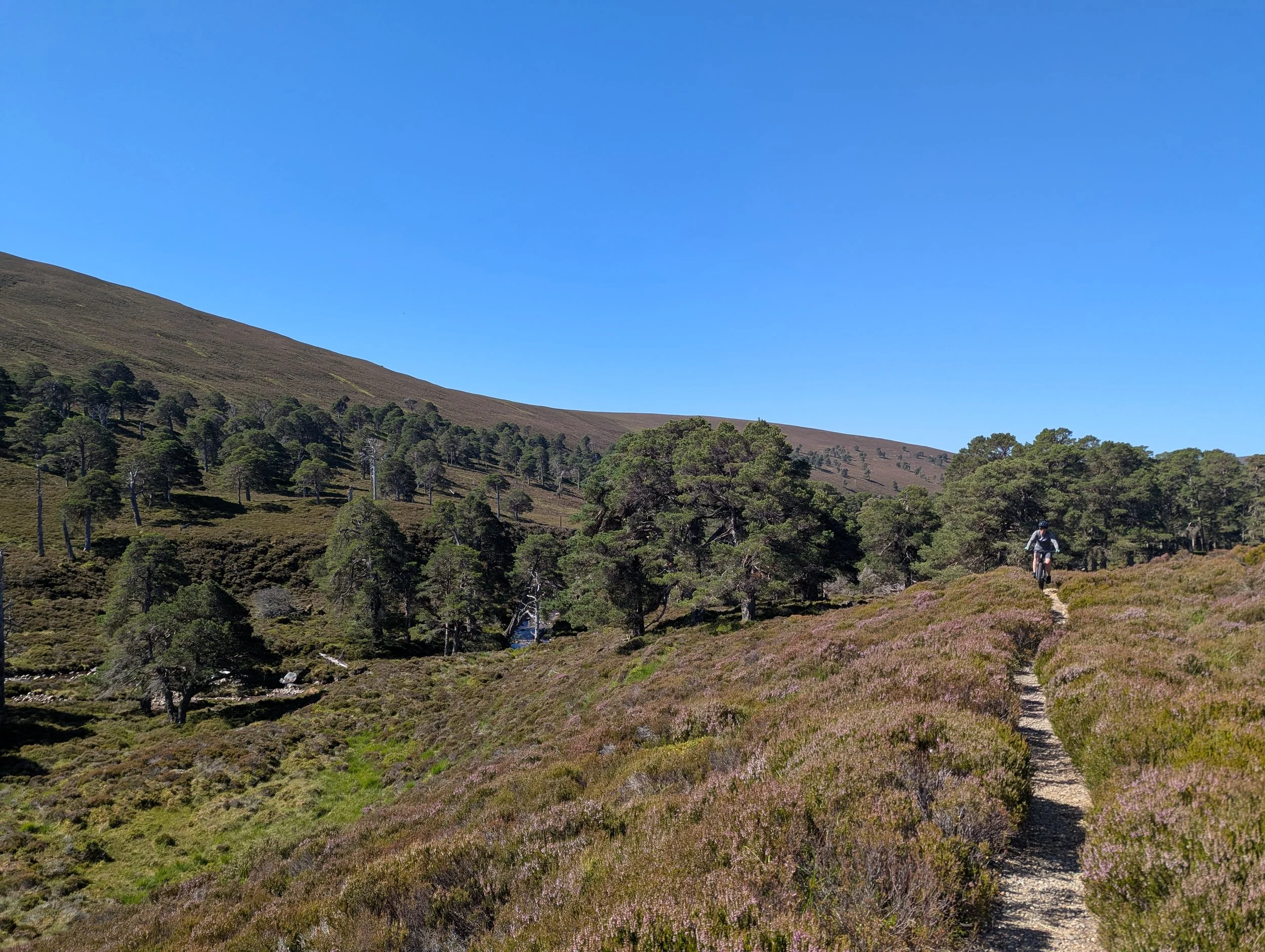 Mountain Bike.jpg
