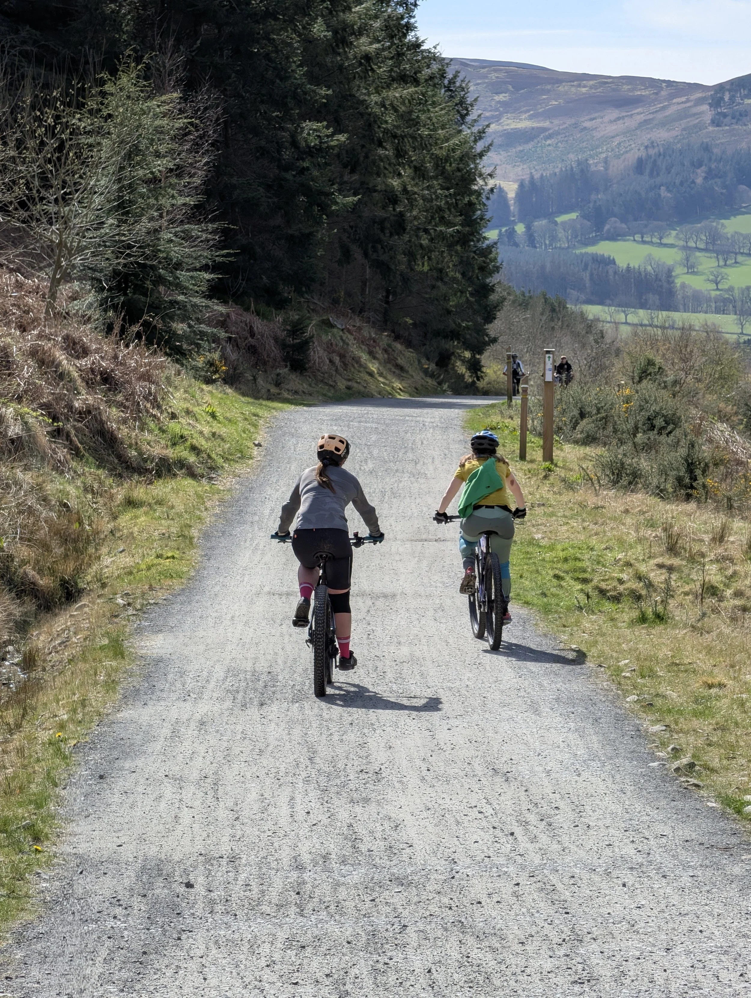 Mountain Bike Glentress 2.jpg