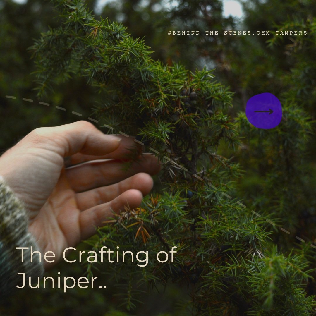 Swipe to see how Juniper came to life. 🚐🔨

Designing &amp; building our custom electric Kia PV5 wasn't about off-the-shelf solutions; it was shaping every millimetre of space to create the ultimate off-grid retreat. From the initial design to the f