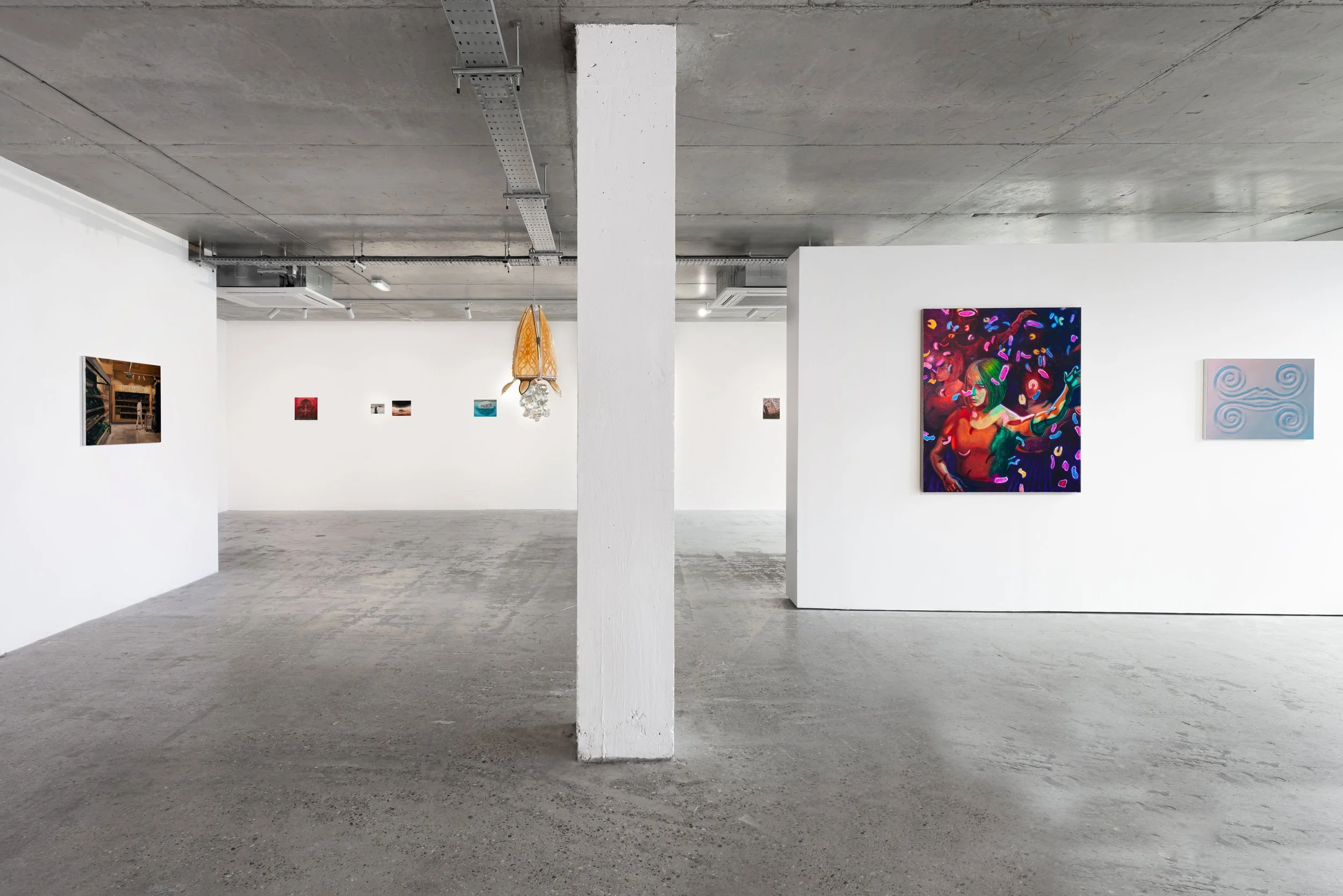 INSTALLATION_VIEWS_EDIT_WEBRES001.jpg