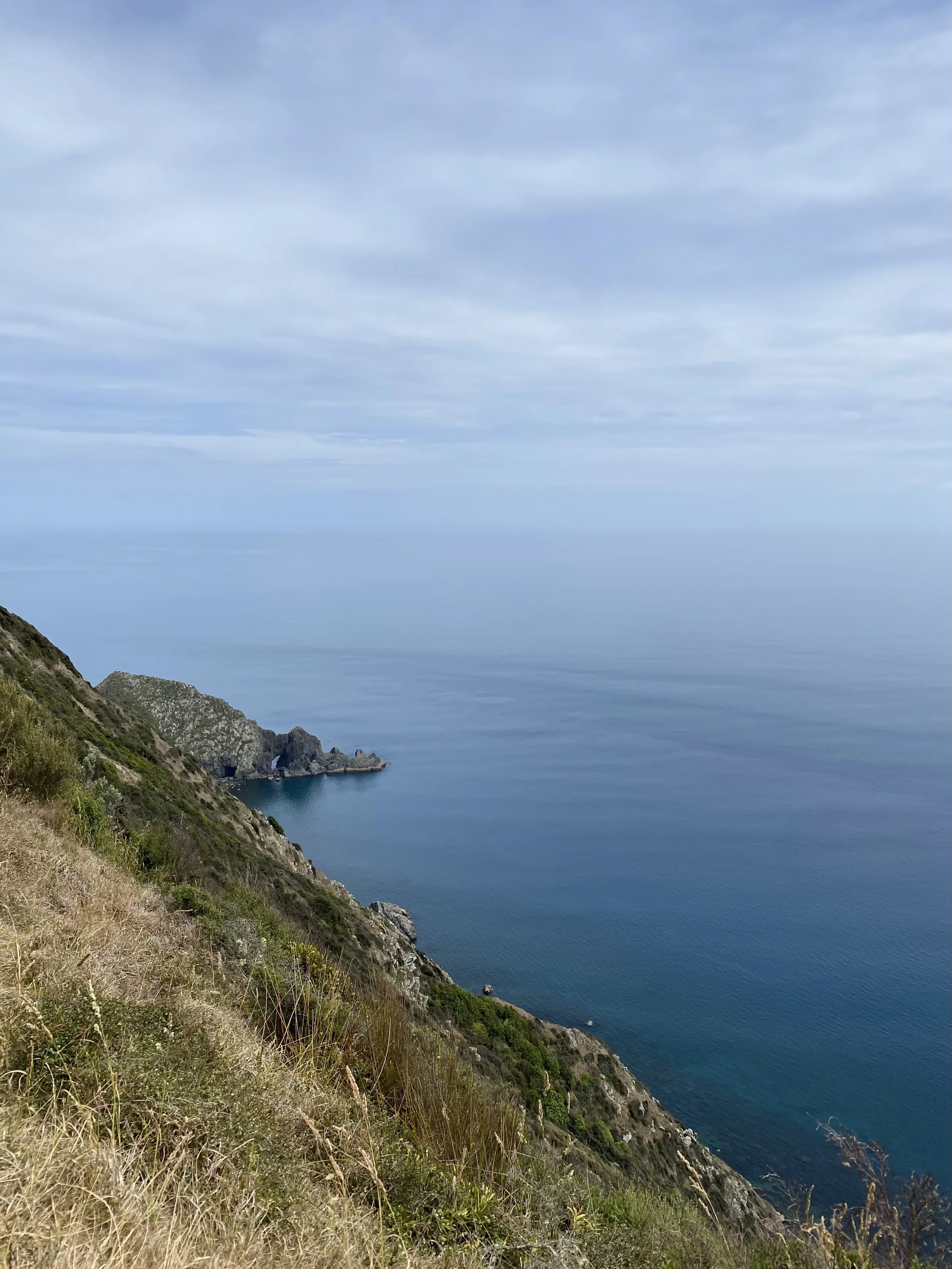 View of a coastline with a steep grassy slope in the foreground, jagged rocks near the shore, and calm blue ocean extending to the horizon under a partly cloudy sky.